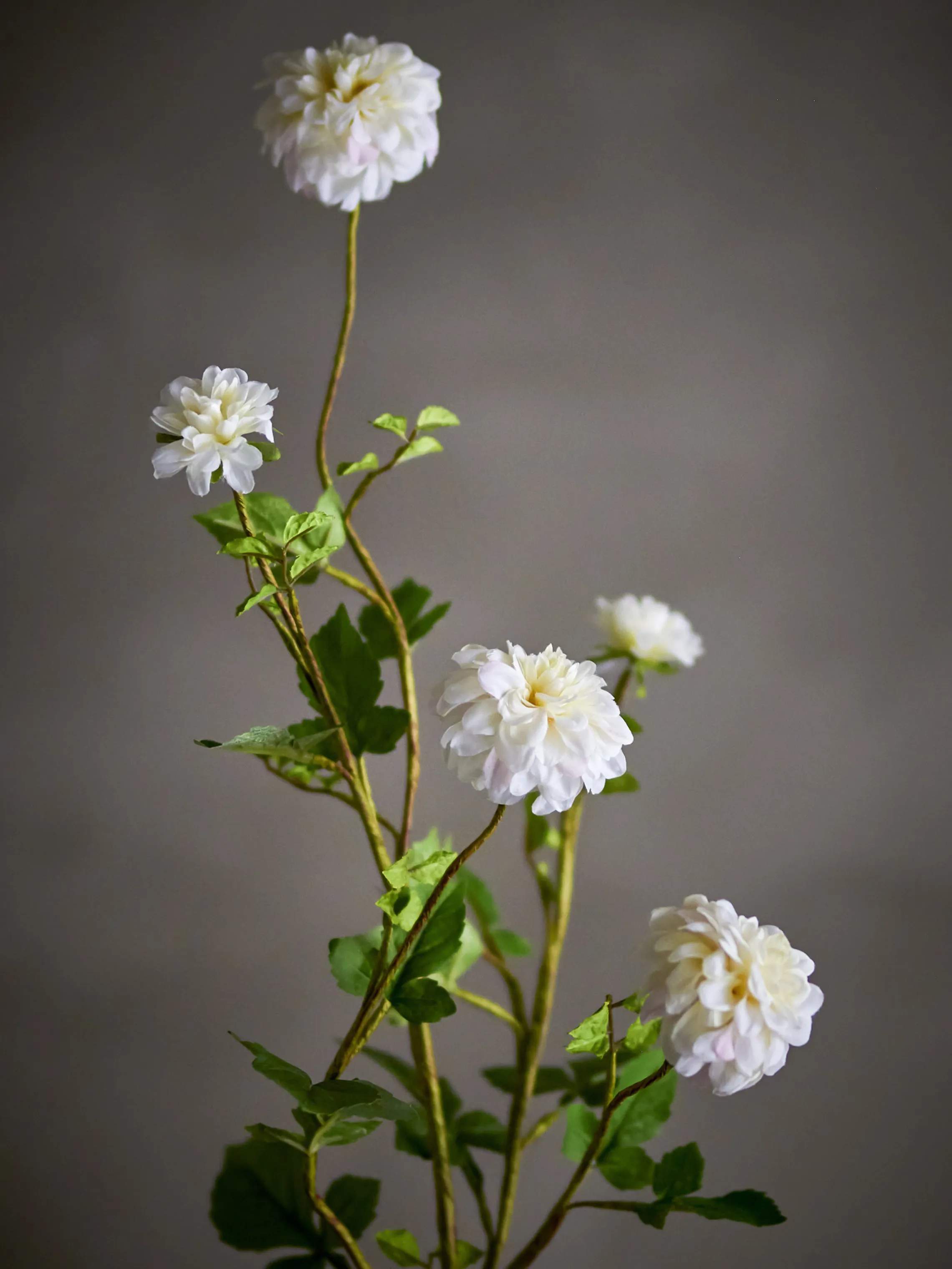 Bloomingville Kunstige blomster Kunstig blomst - Chrysantemum stilk i Hvid, 2