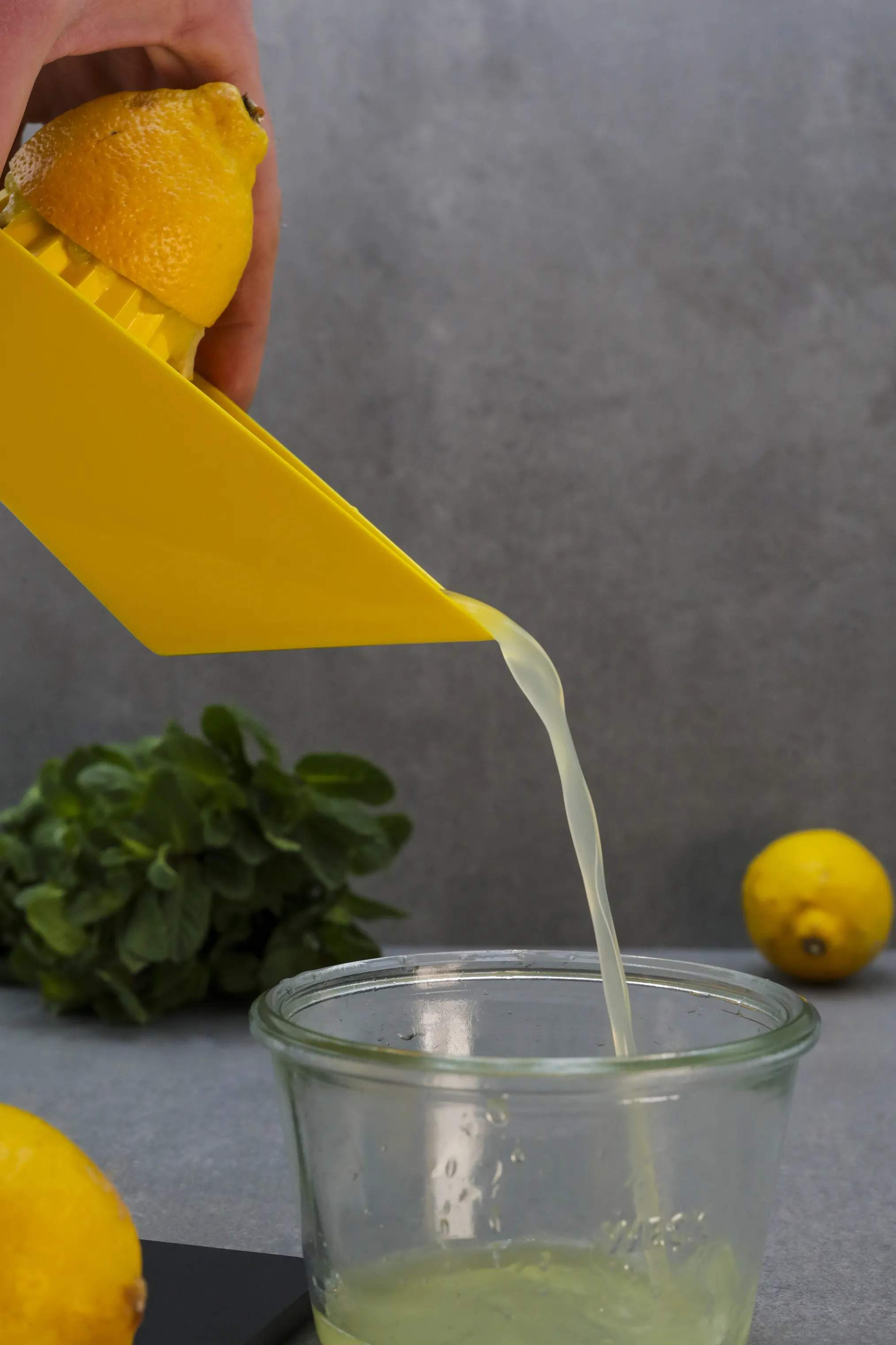 Endeavour Citruspressere Citruspresser i Gul, 6