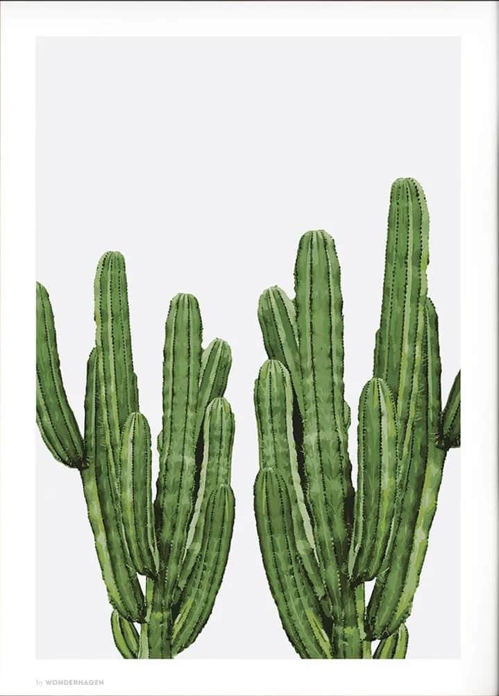 Plakat Cactus, flerfarvet, large