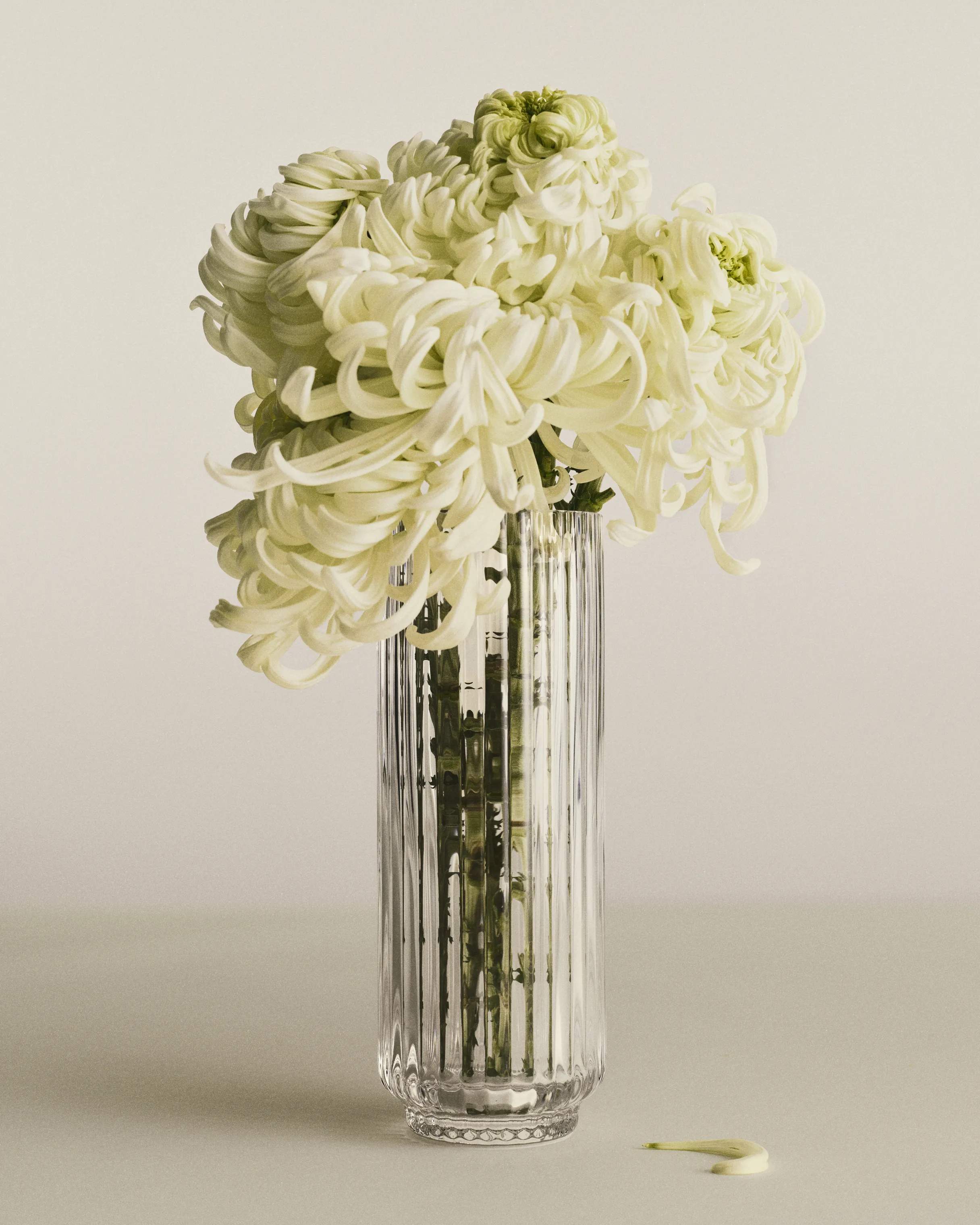 Georg Jensen Vaser Bernadotte Vase i Klar, 3