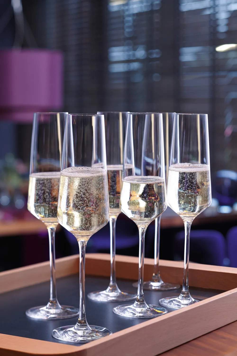 Leonardo Champagneglas Puccini Champagneglas - 6 stk. i Klar, 3