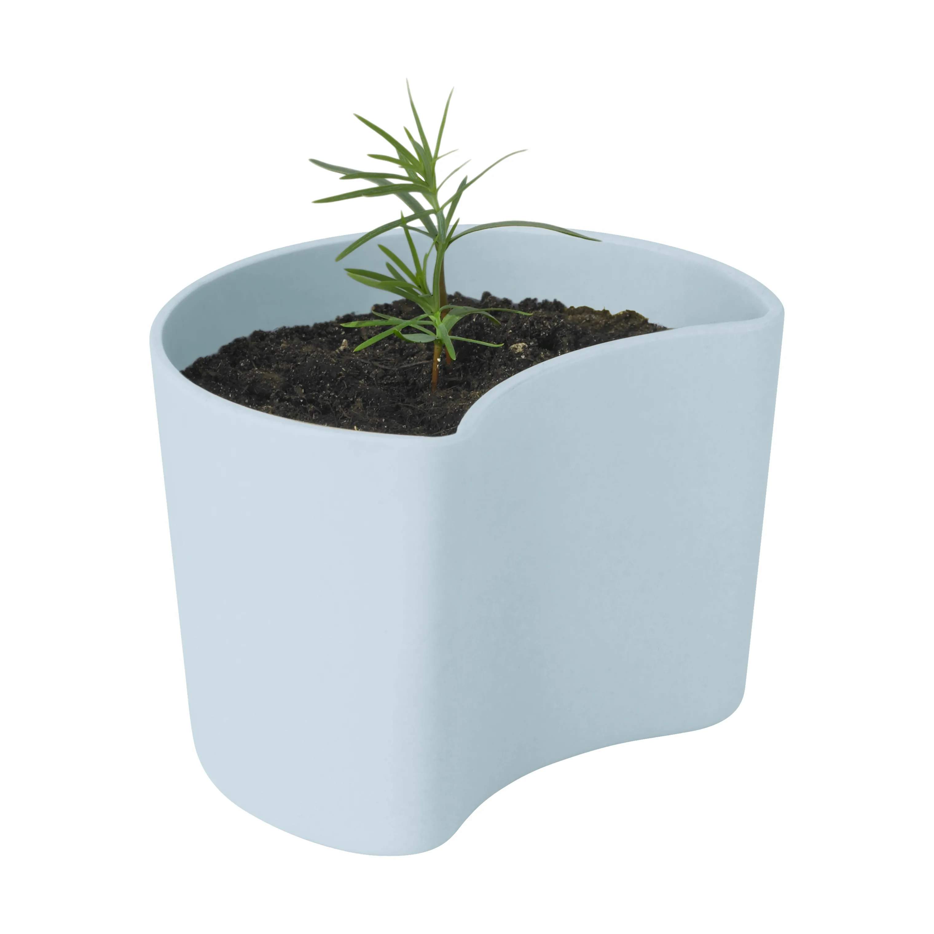 Rig-Tig Plantekrukker Your Tree Plantepotte m. fyrrefrø i Lyseblå, 7 cm, 2