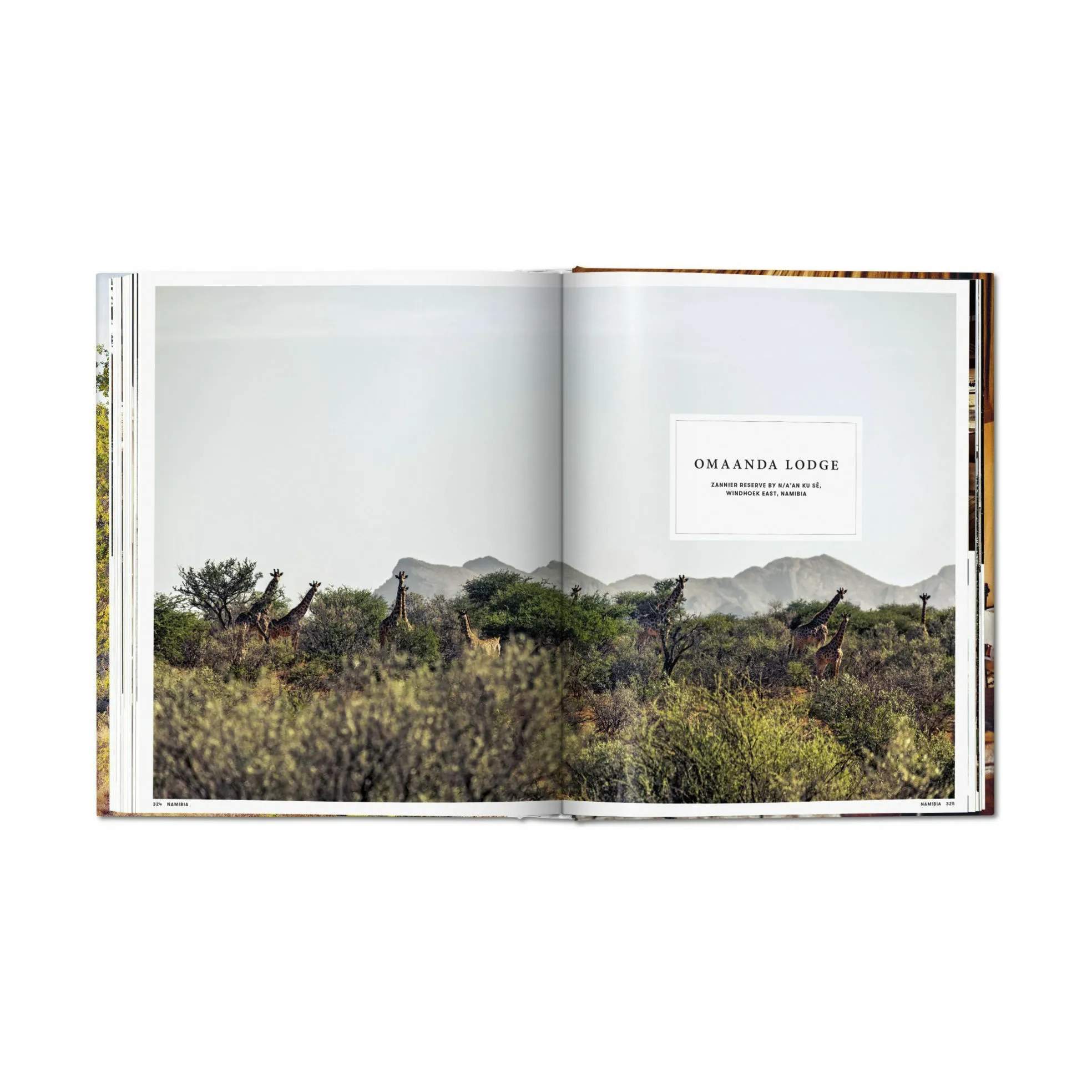 New Mags Øvrige bøger Great Escapes Africa - Af Angelika Taschen i Grøn/Lys blå, 4