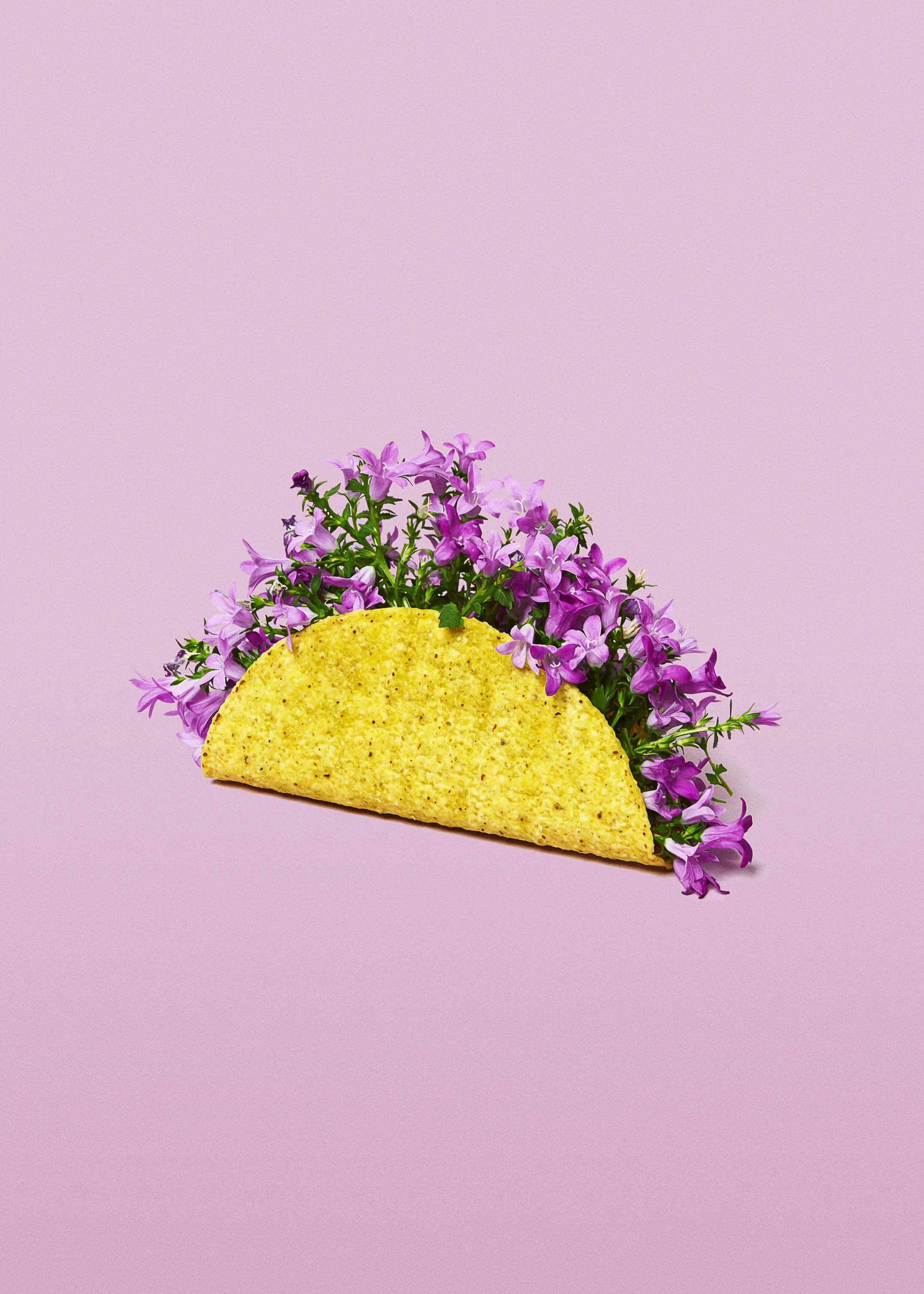 plakat - Flower taco, lilla;gul, large
