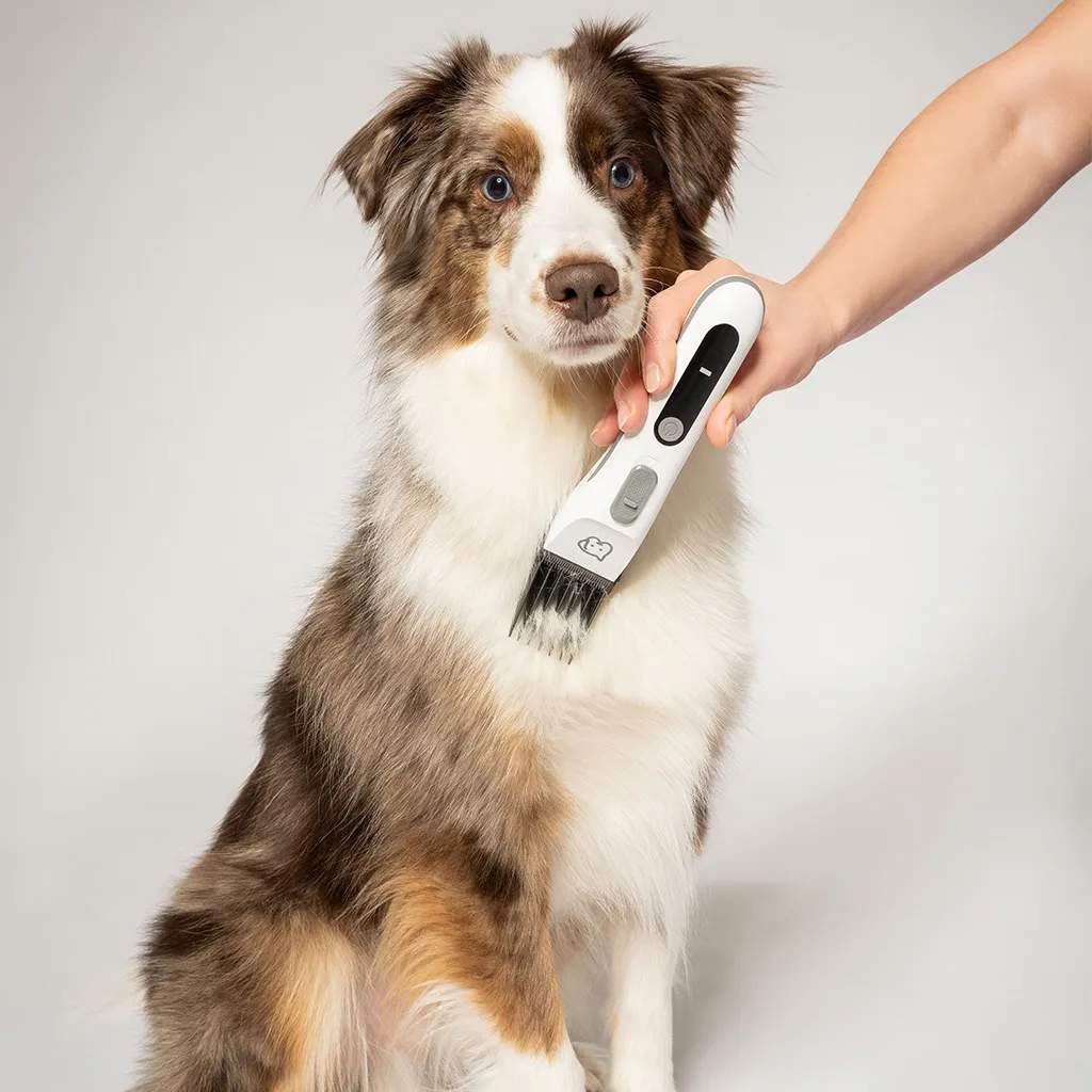 Beurer Tilbehør til kæledyr PetCare Kæledyrs Trimmer PP110 i Hvid/grå, 3