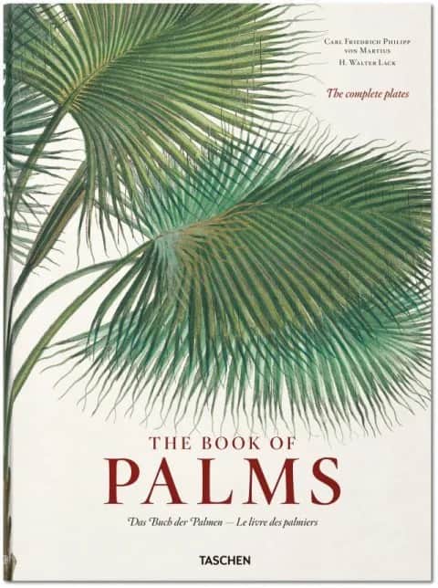 The Book of Palms - Af H. Walter Lack, grøn, large