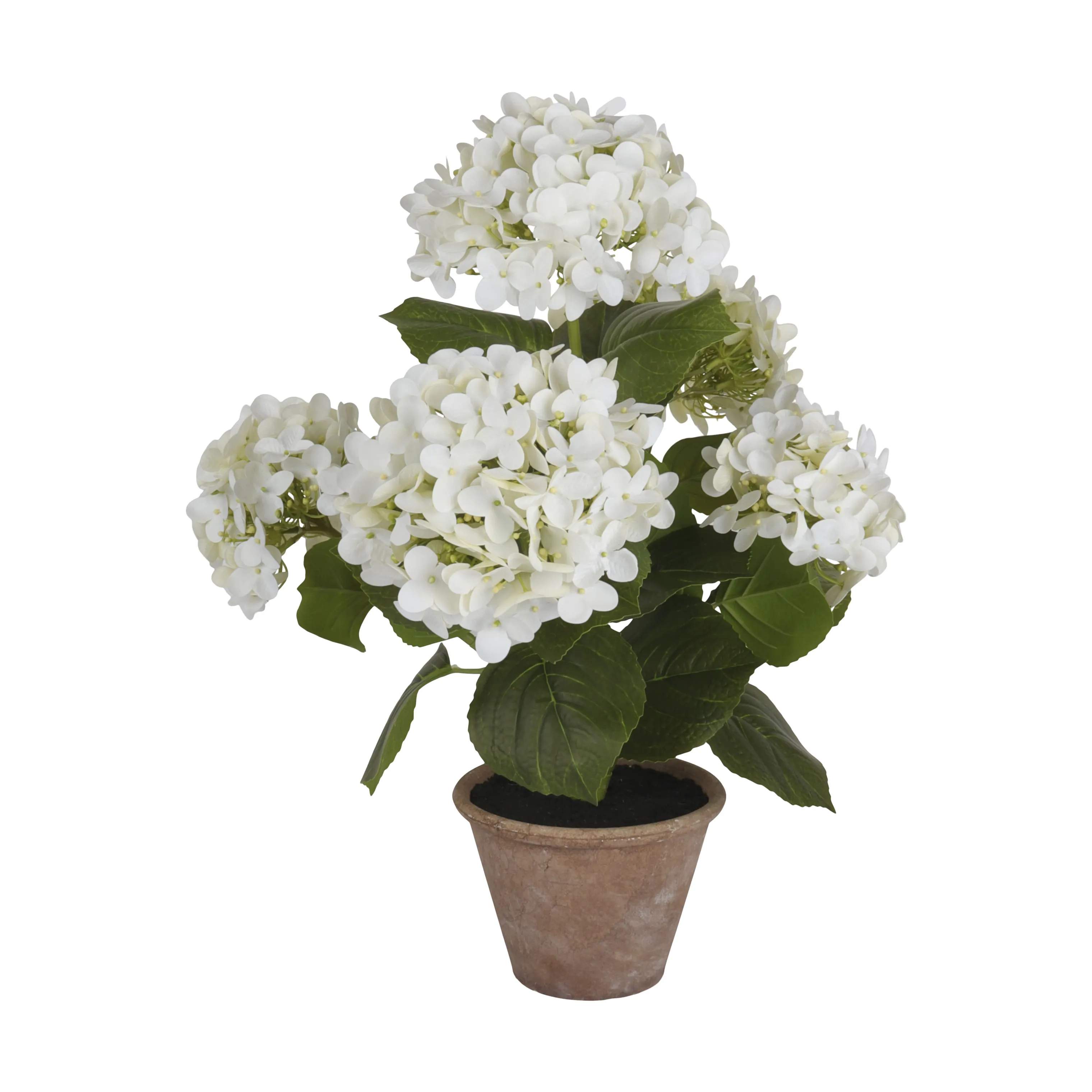 CASA Living Kunstige planter Kunstig Hortensia i Hvid, 55 cm, 1