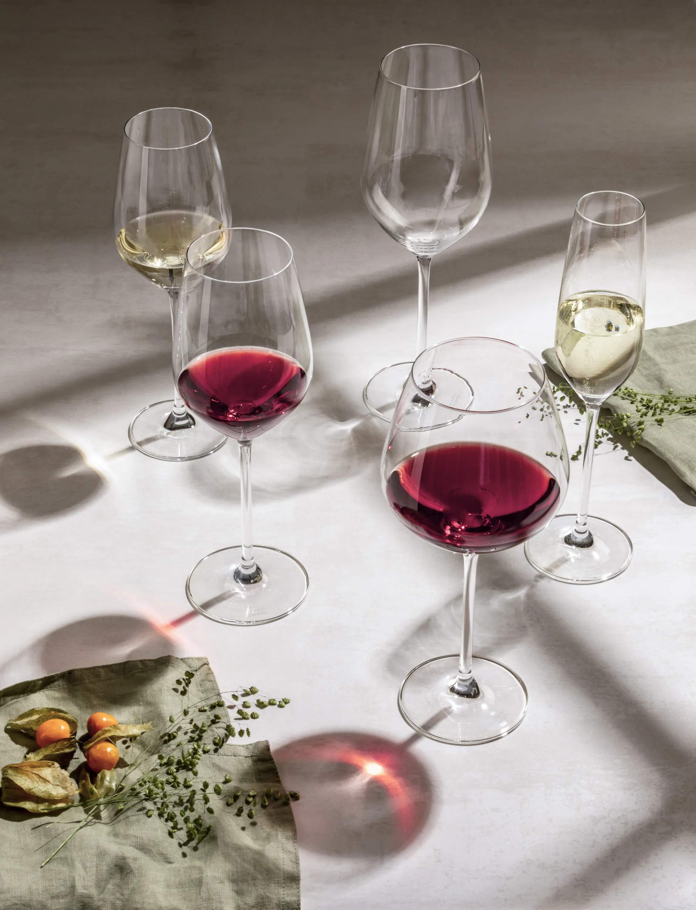Schott Zwiesel Rødvinsglas Fortissimo Rødvinsglas - 4 stk i 63,2 cl, 3