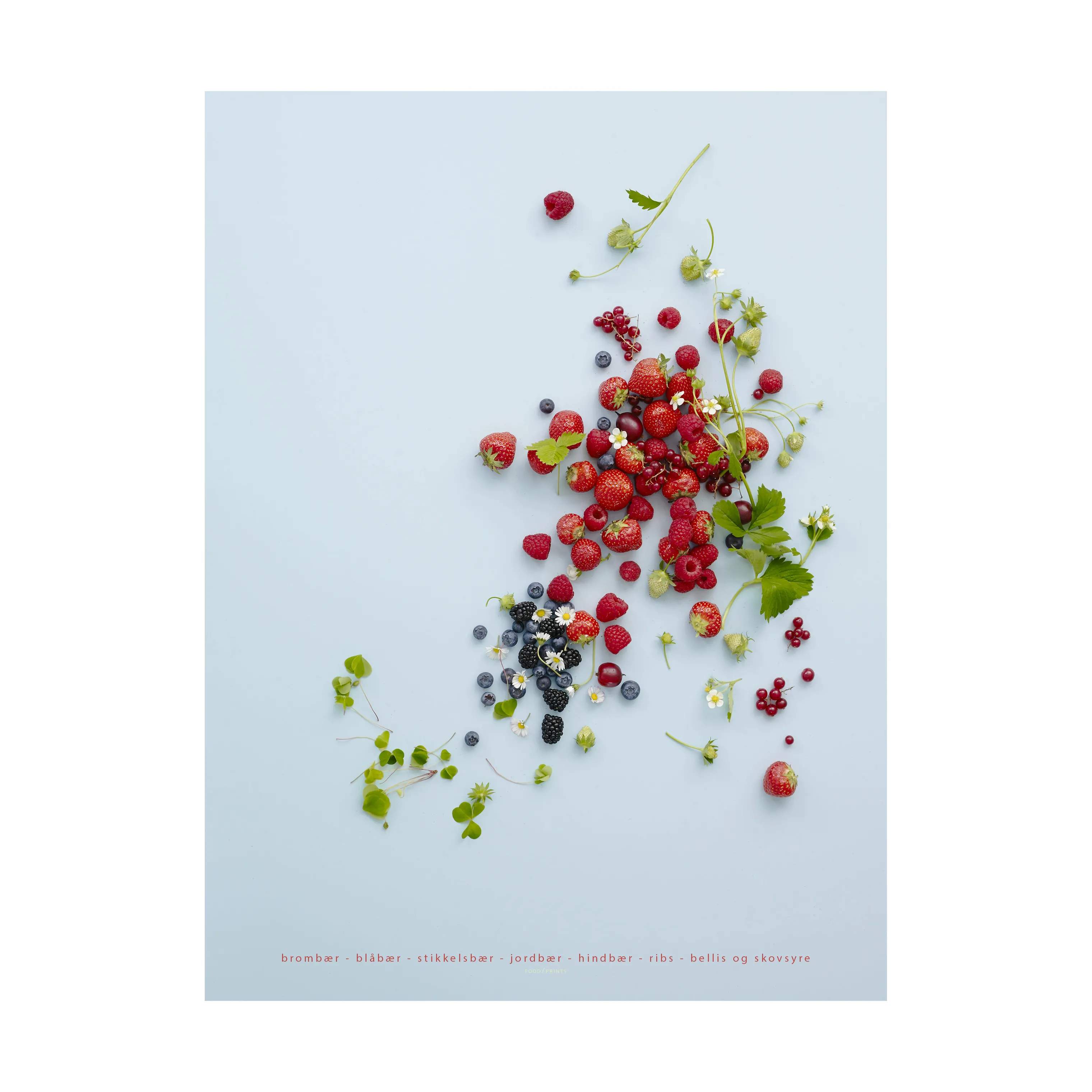 Plakat - Sommerbær, flerfarvet, large