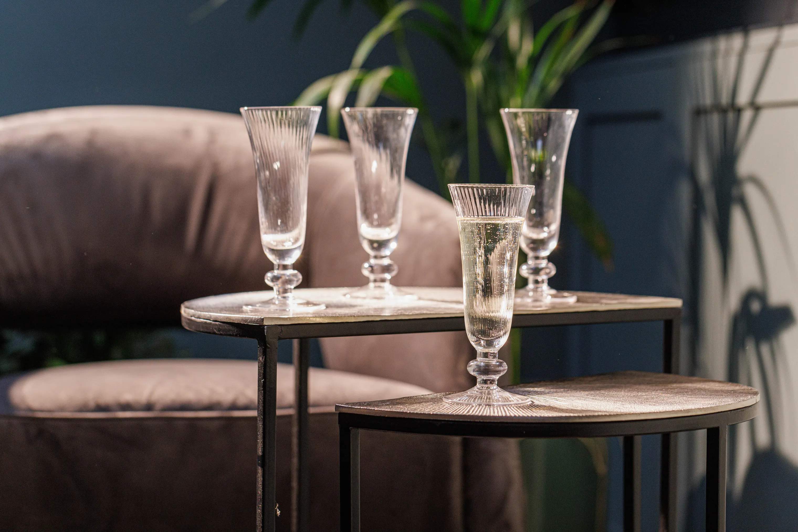 Mikasa Champagneglas Salerno Champagneglas - 4 stk. i Klar, 2