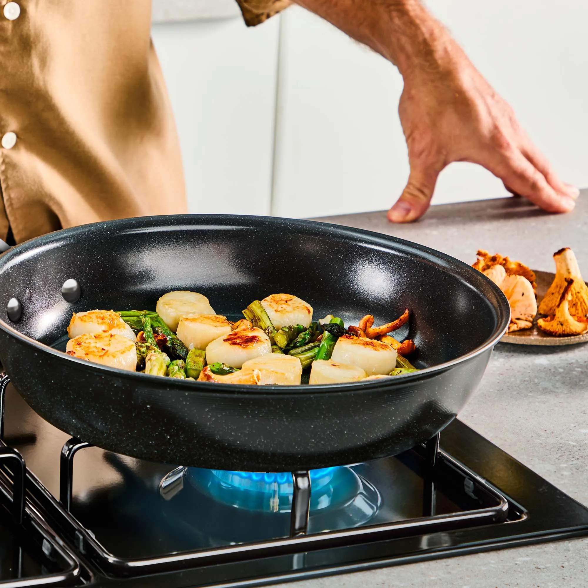 Tefal Stegepander Excellence Plus Stegepande i 24 cm, 3