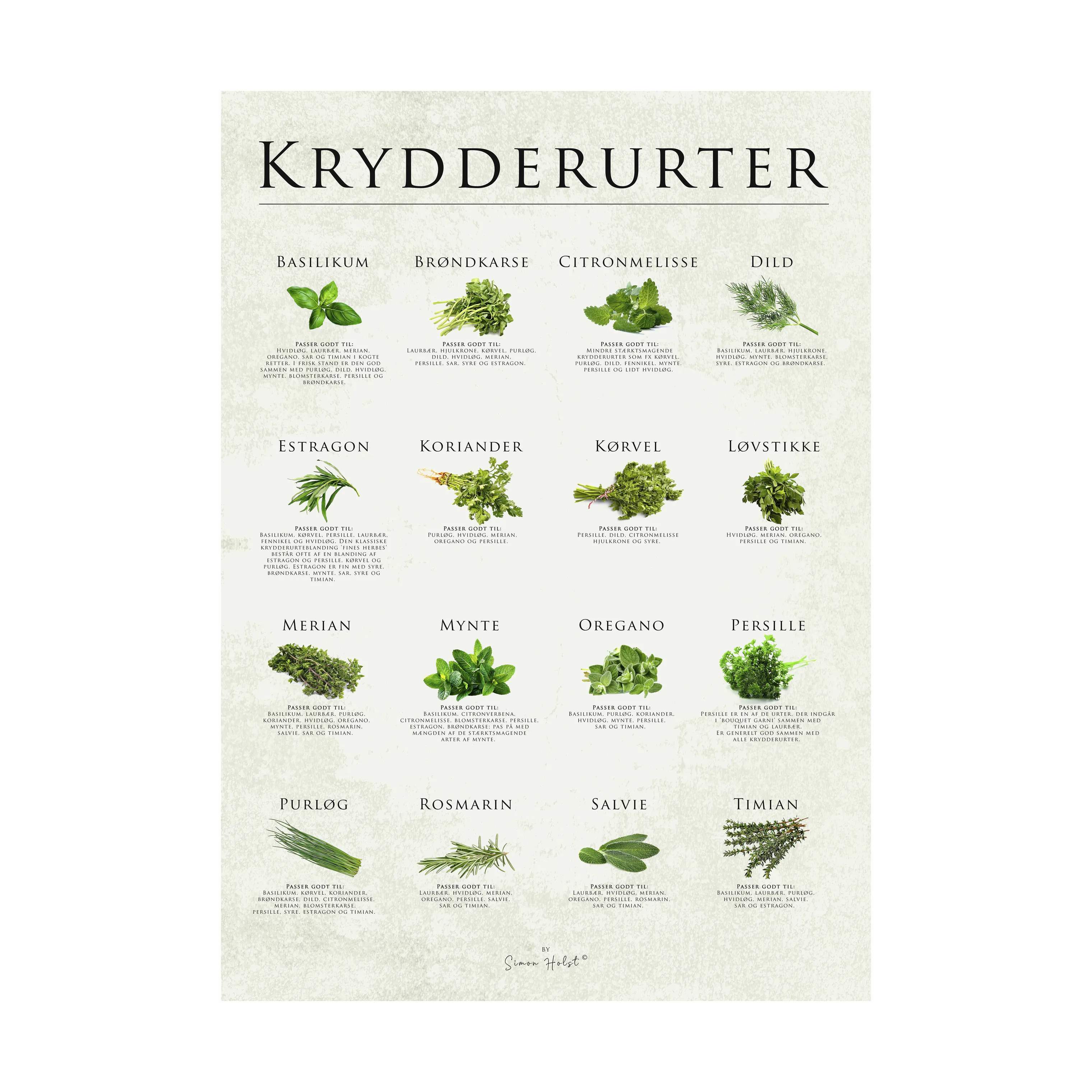 plakat - Krydderurter, multifarvet, large