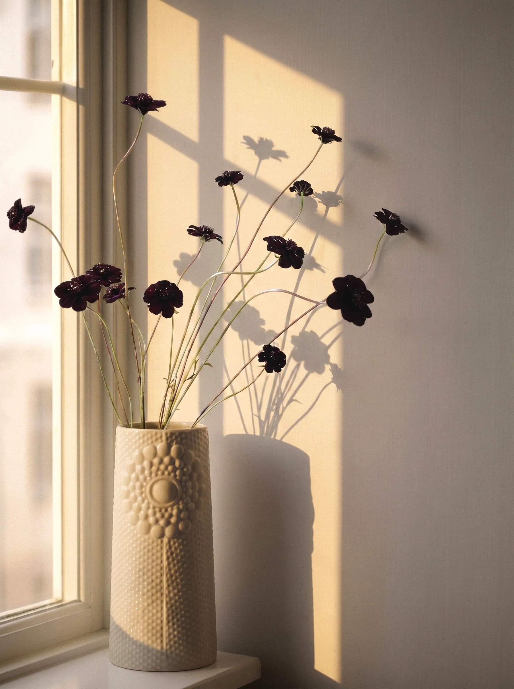 Dottir Vaser Pipanella Dot Vase i Sandstorm, 3