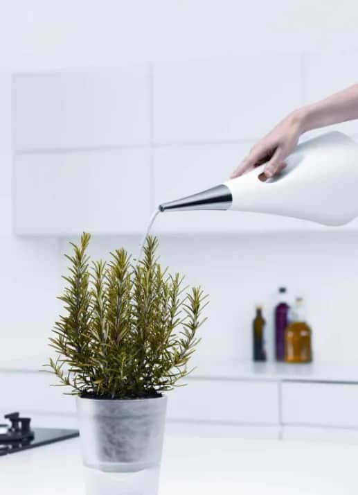 Eva Solo Vandkander AquaStar Vandkande i Hvid, 2 L, 2