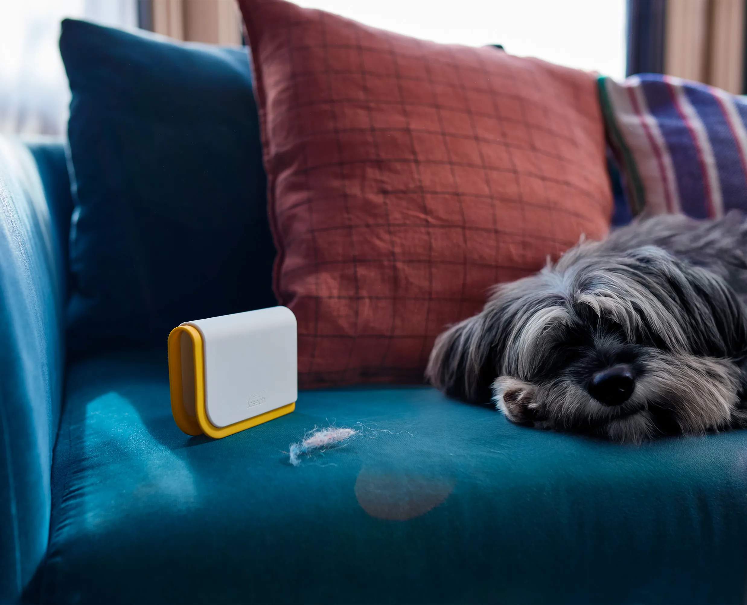 Joseph Joseph Støvsugere CleanTech™ 3-in-1 Tæpperenser i Light Stone, 15