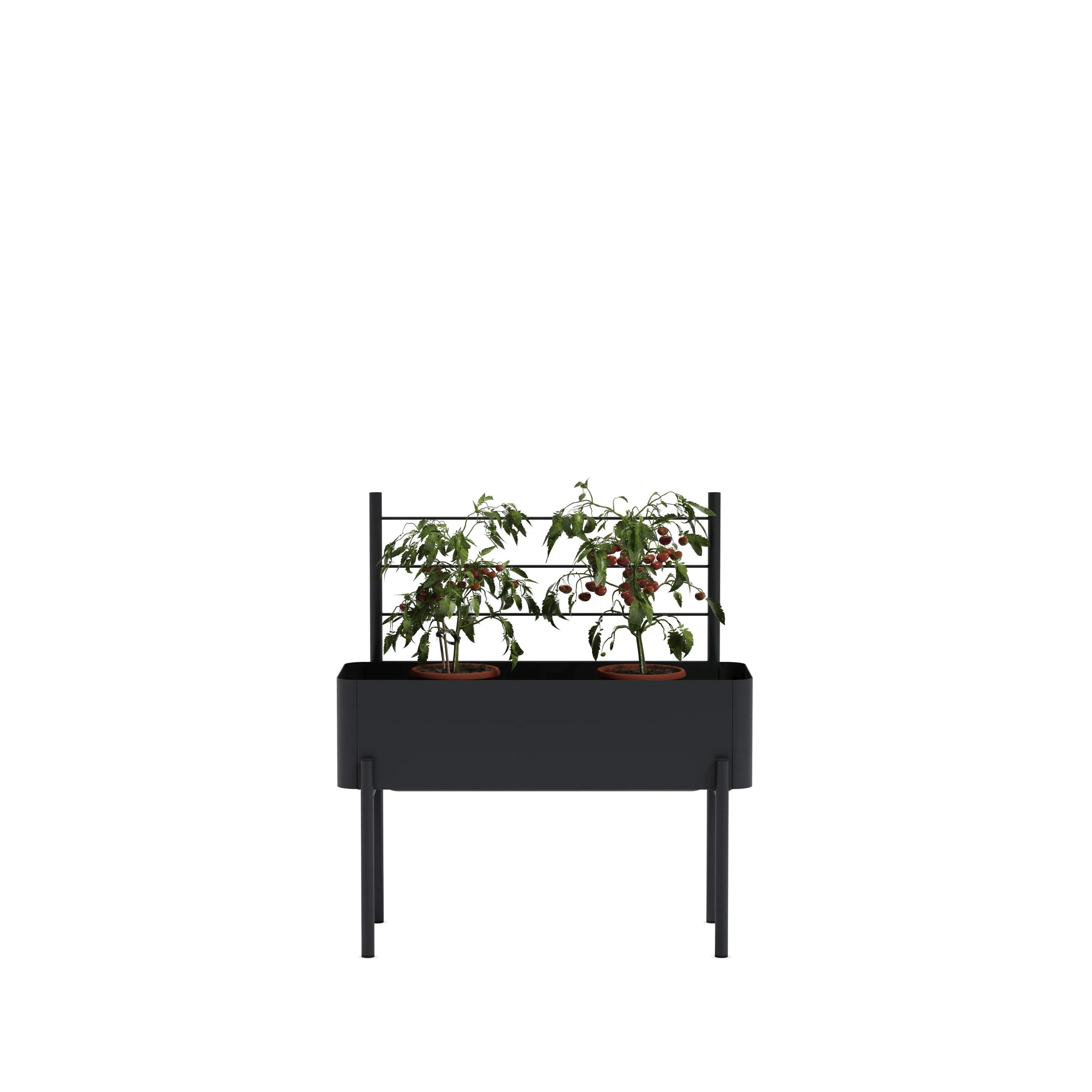 Eva Solo Øvrigt haveudstyr Simply Grow Espalier til plantekasse i H102 x B70 cm, 4