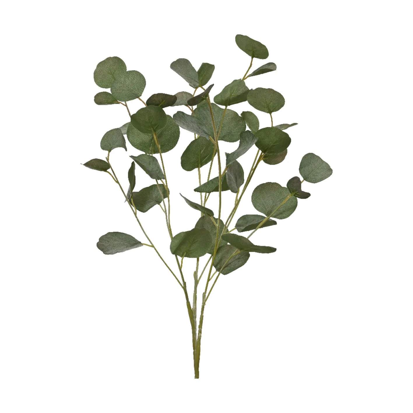 CASA Living Kunstige blomster Kunstig blomst - Eukalyptusgren i 78 cm, 1