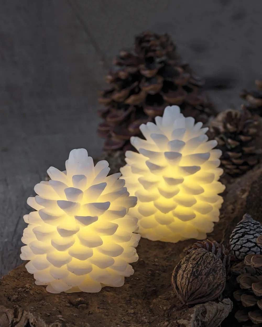 Sirius led Clara Kogle Vokslys - 2 stk.
