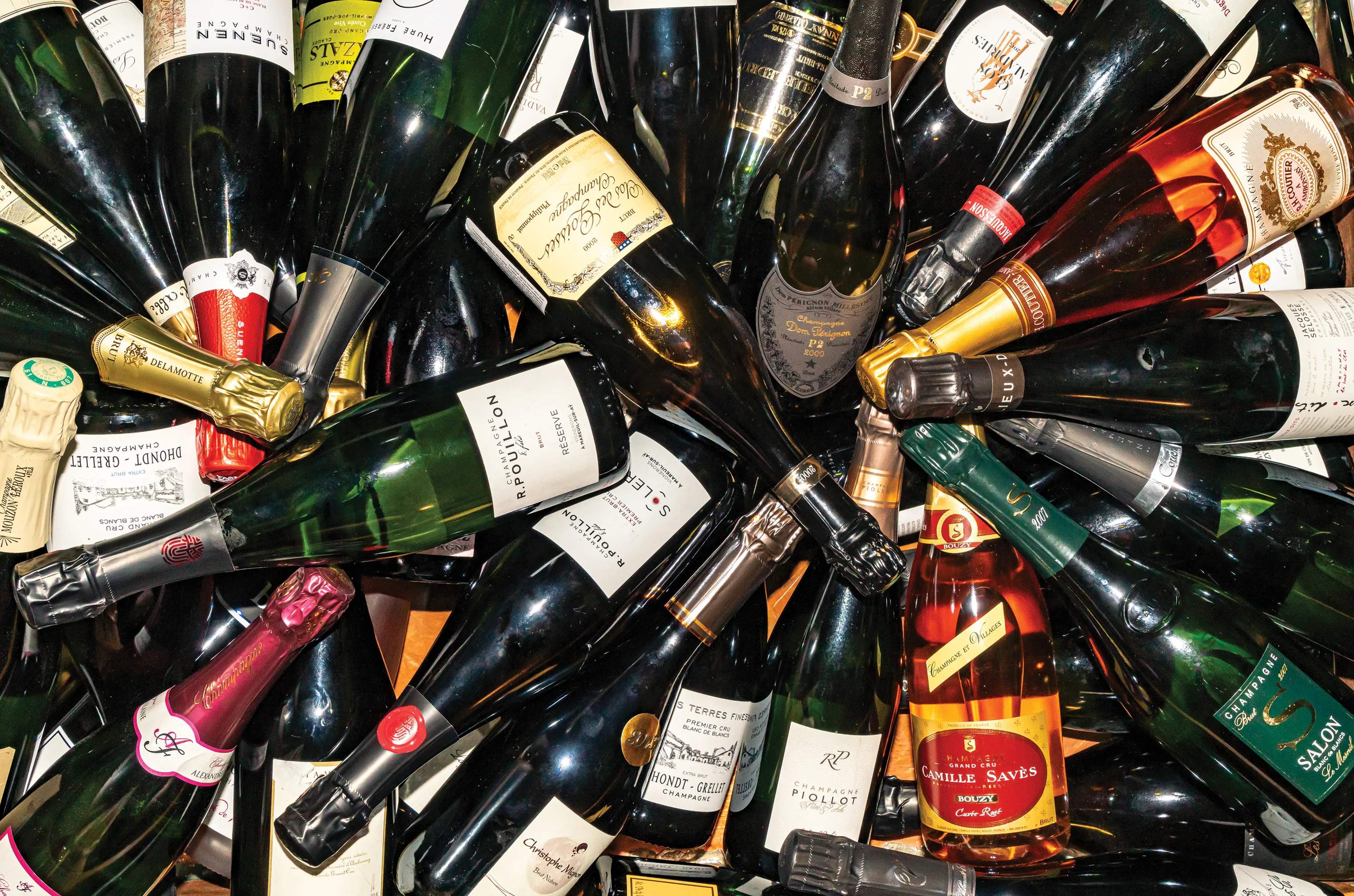 New Mags Øvrige bøger Better with Bubbles: Traveling the World through Champagne and Sparkling Wine - Af Ariel Arce i Lysegrøn, 6