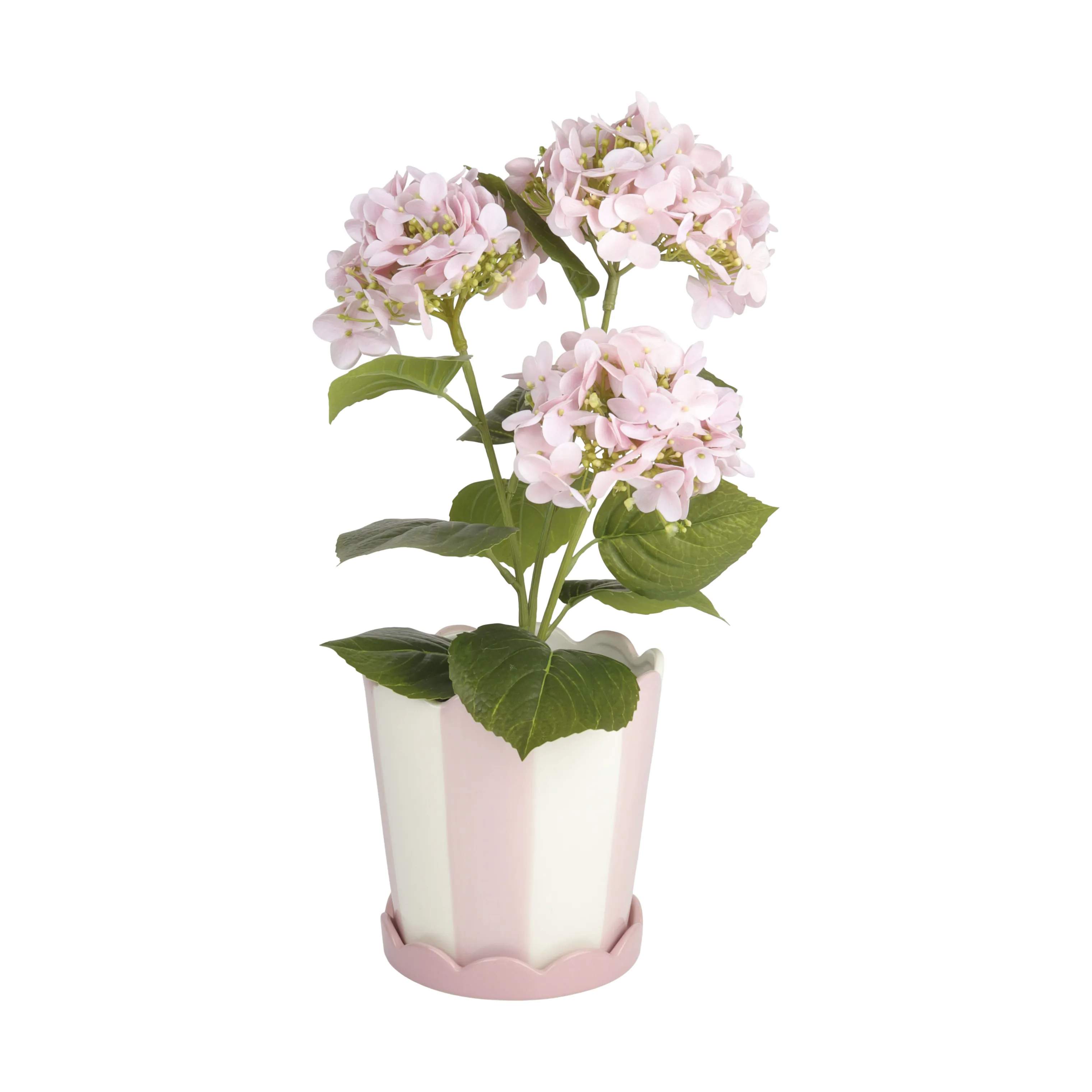 CASA Living Urtepotteskjulere Urtepotteskjuler i 16,7 cm, 3