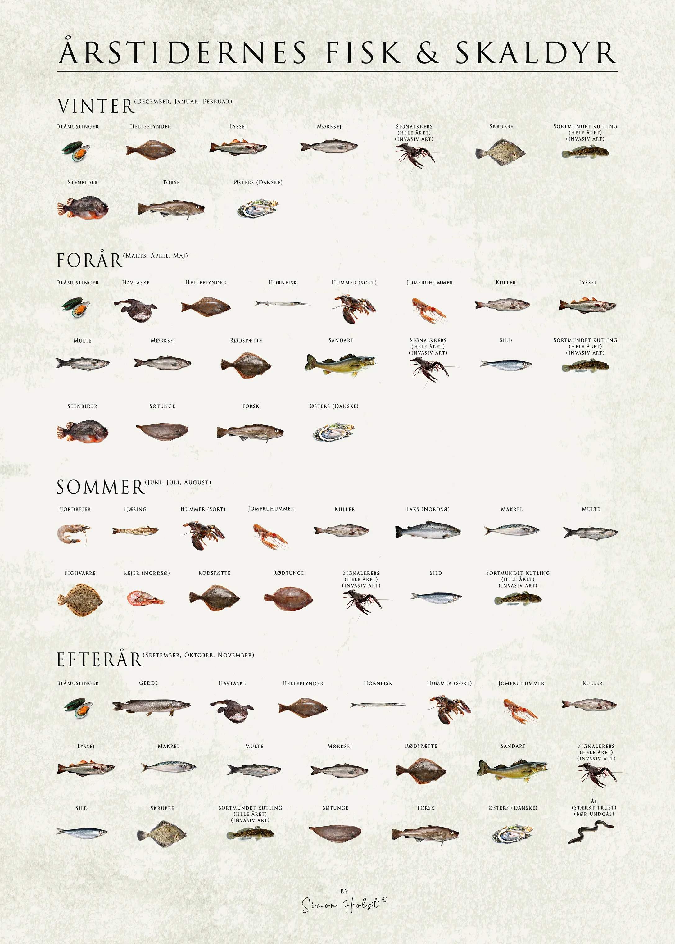 Simon Holst plakater plakat - Årstidernes fisk og skaldyr