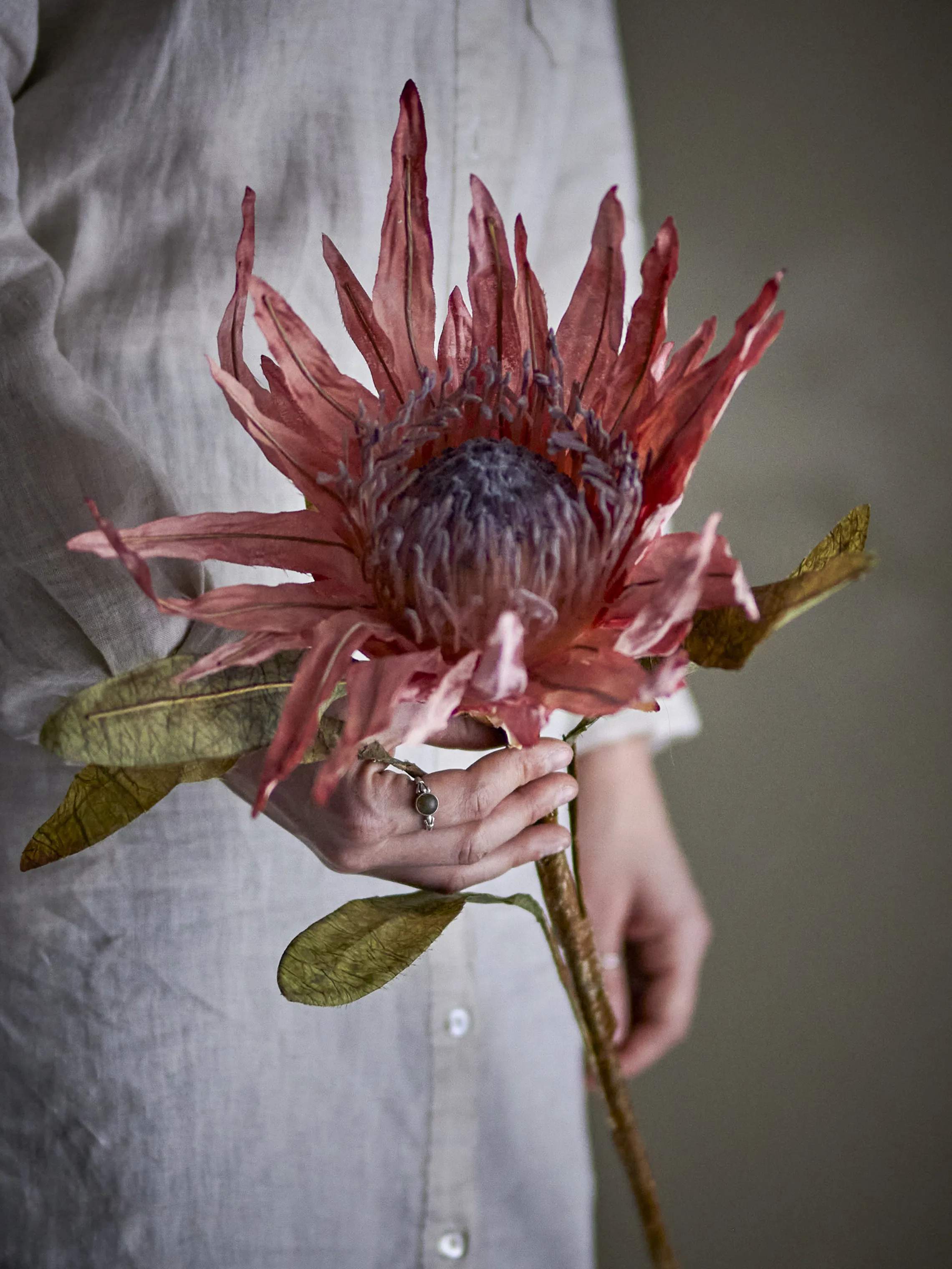 Bloomingville Kunstige blomster Kunstig blomst - Protea stilk i Lyserød, 2