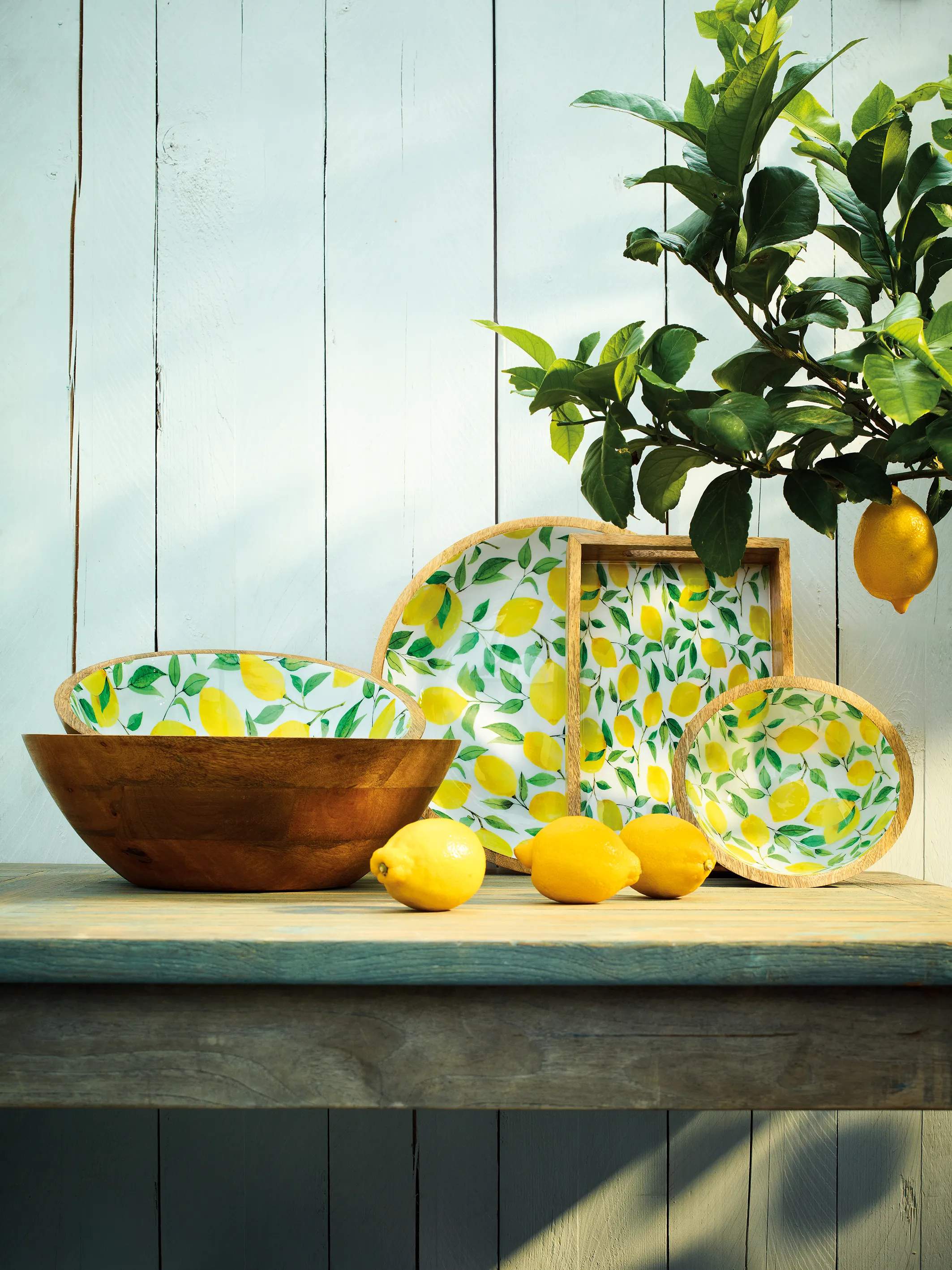 Zassenhaus Bakker Mango Bakke i Lemon, 2