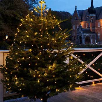 Sirius lyskæder Knirke LED Lyskæde til juletræ