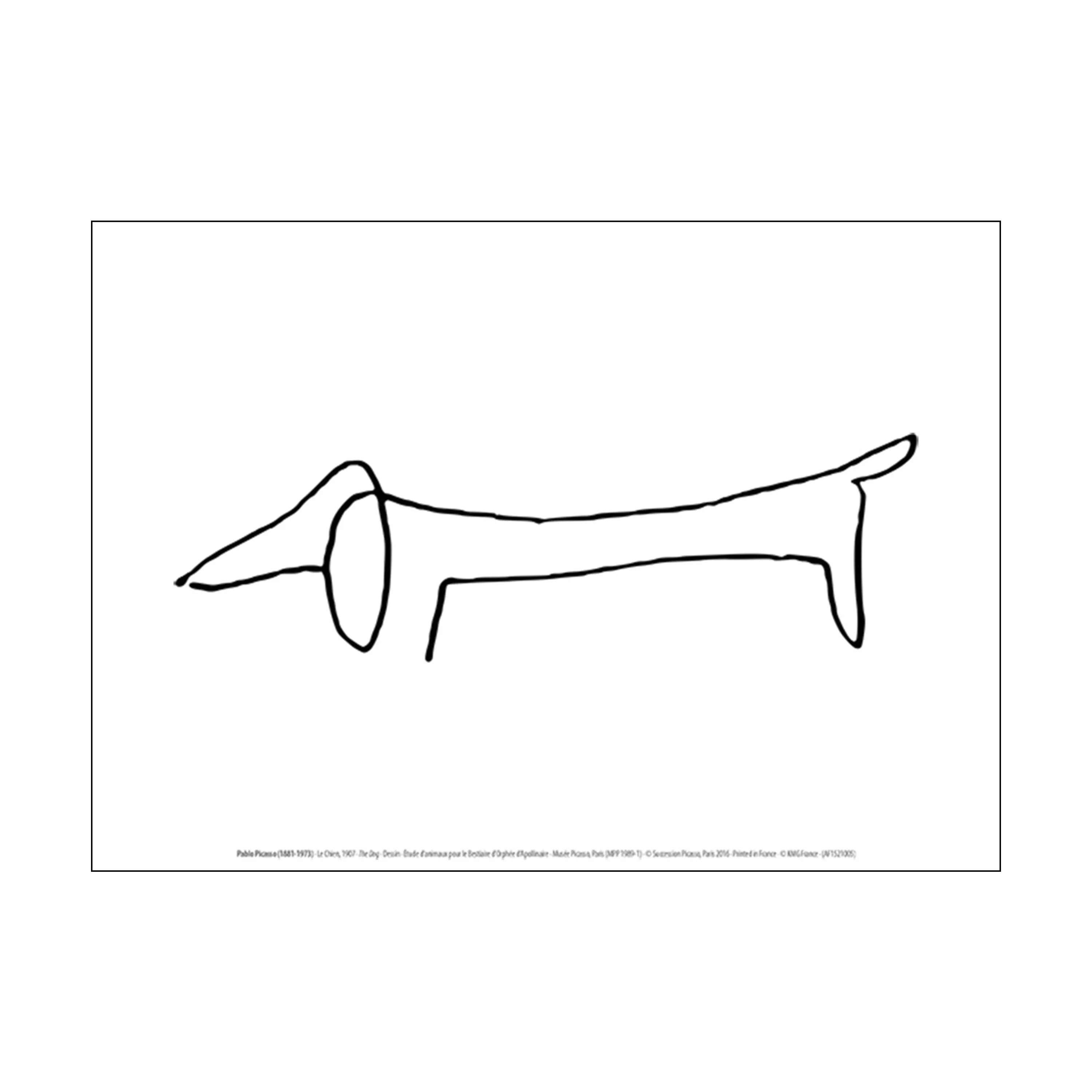 Picasso plakat - Chien, Hvid, large