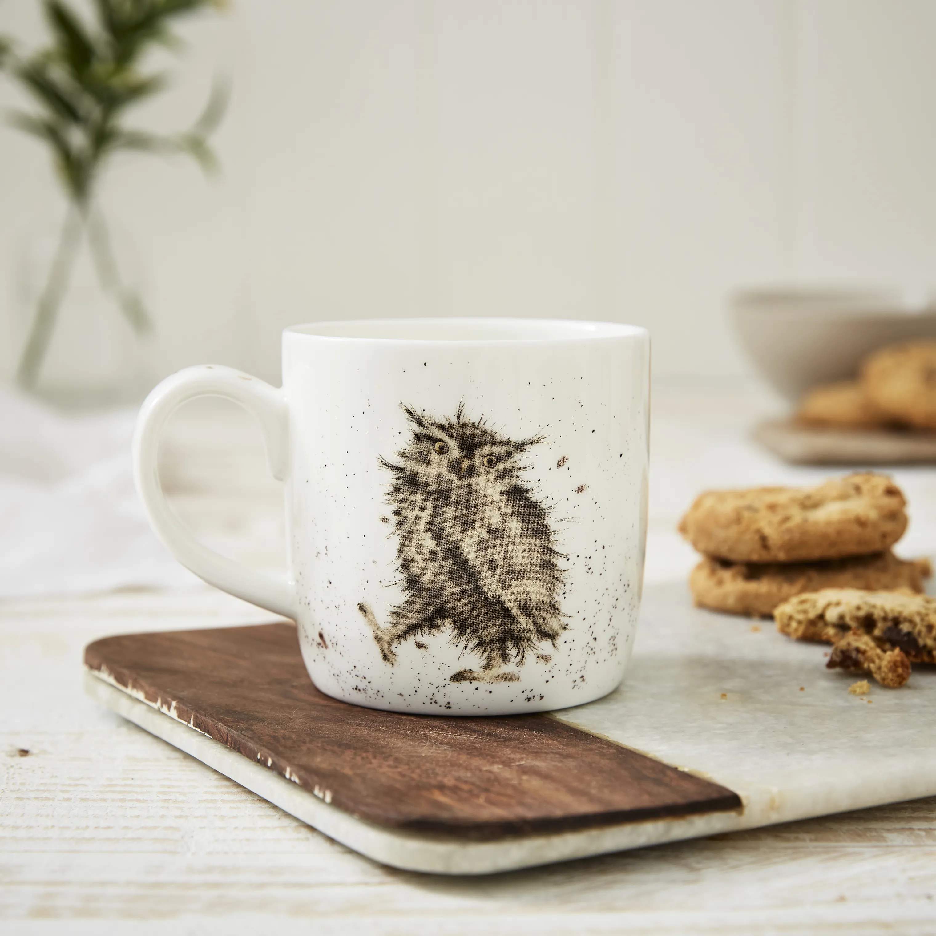 Royal Worcester Krus og kopper med hank Wrendale Krus - What a hoot i Ugle, 2