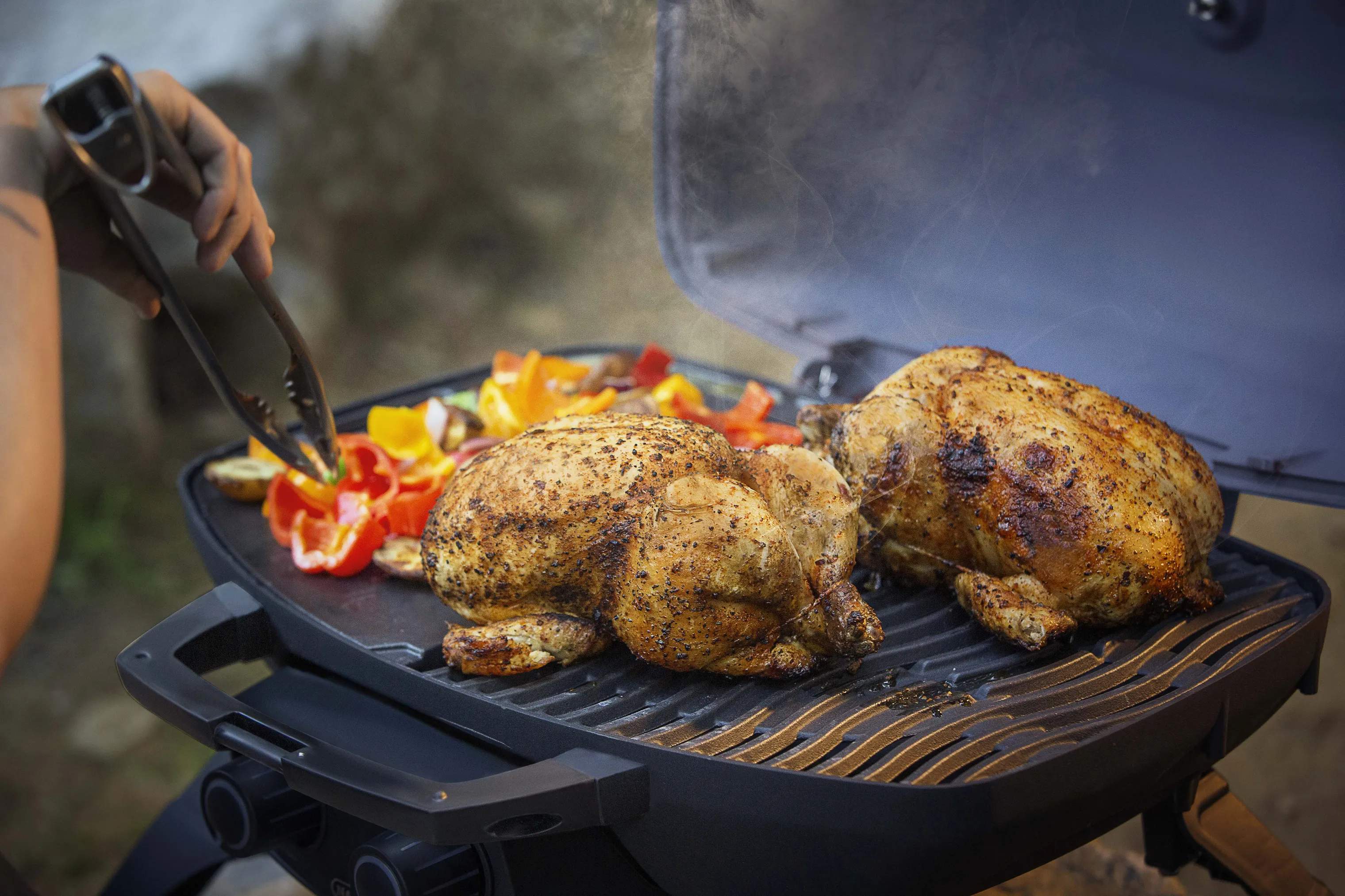 Napoleon Gasgrill TravelQ 285 Gasgrill i sort, 2