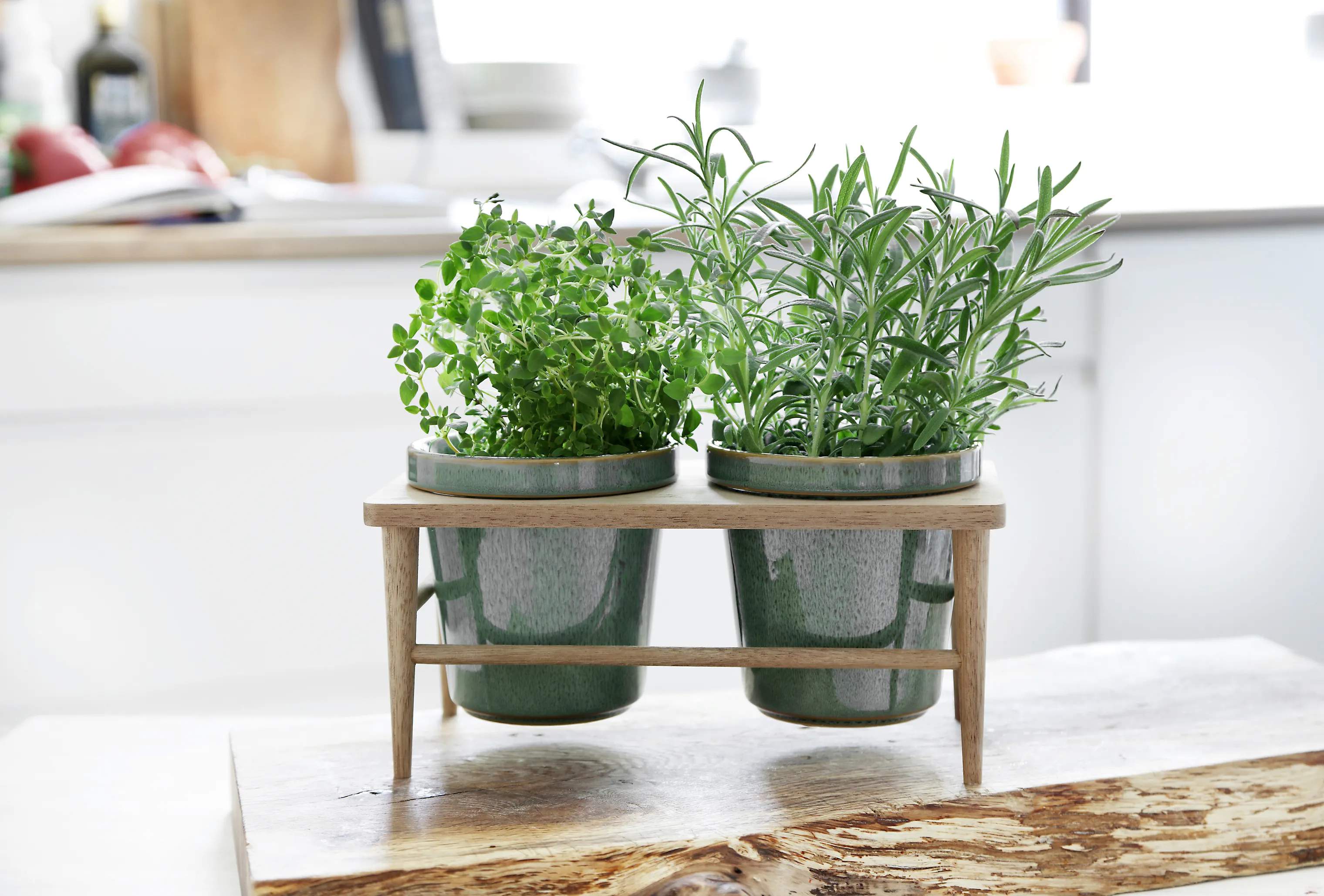 CASA Living Urtepotteskjulere Sofia Urtepottesæt - 3 dele i Grøn, 11 cm, 2