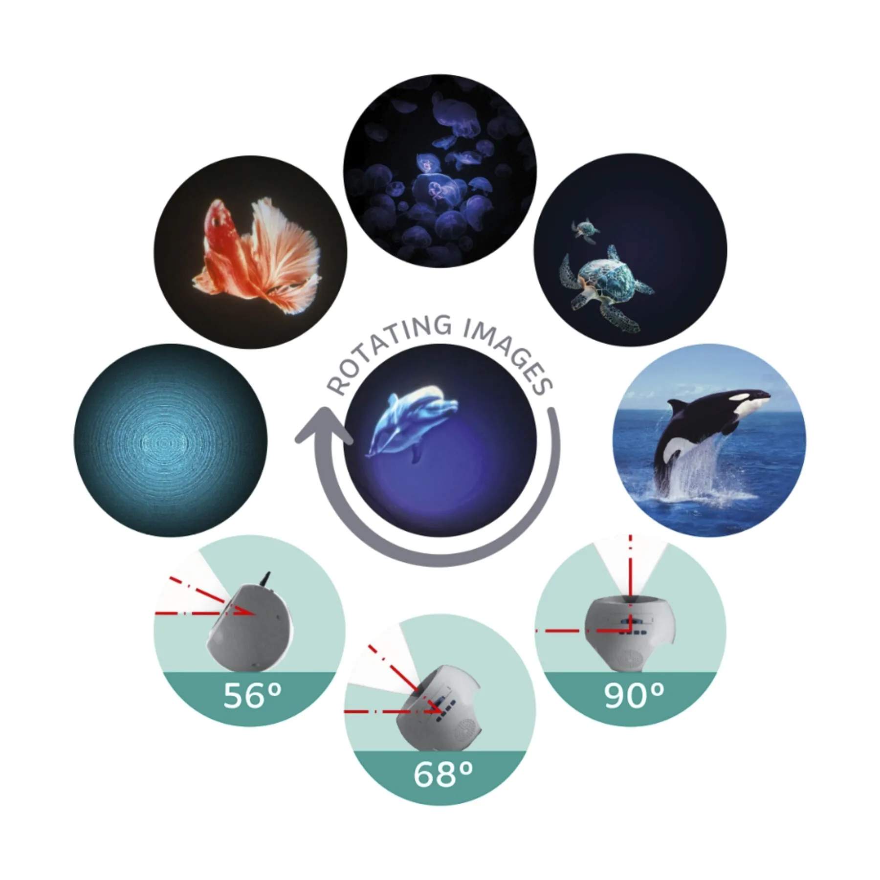 Kidywolf Øvrigt interiør Projektor - Ocean i Ocean, 7