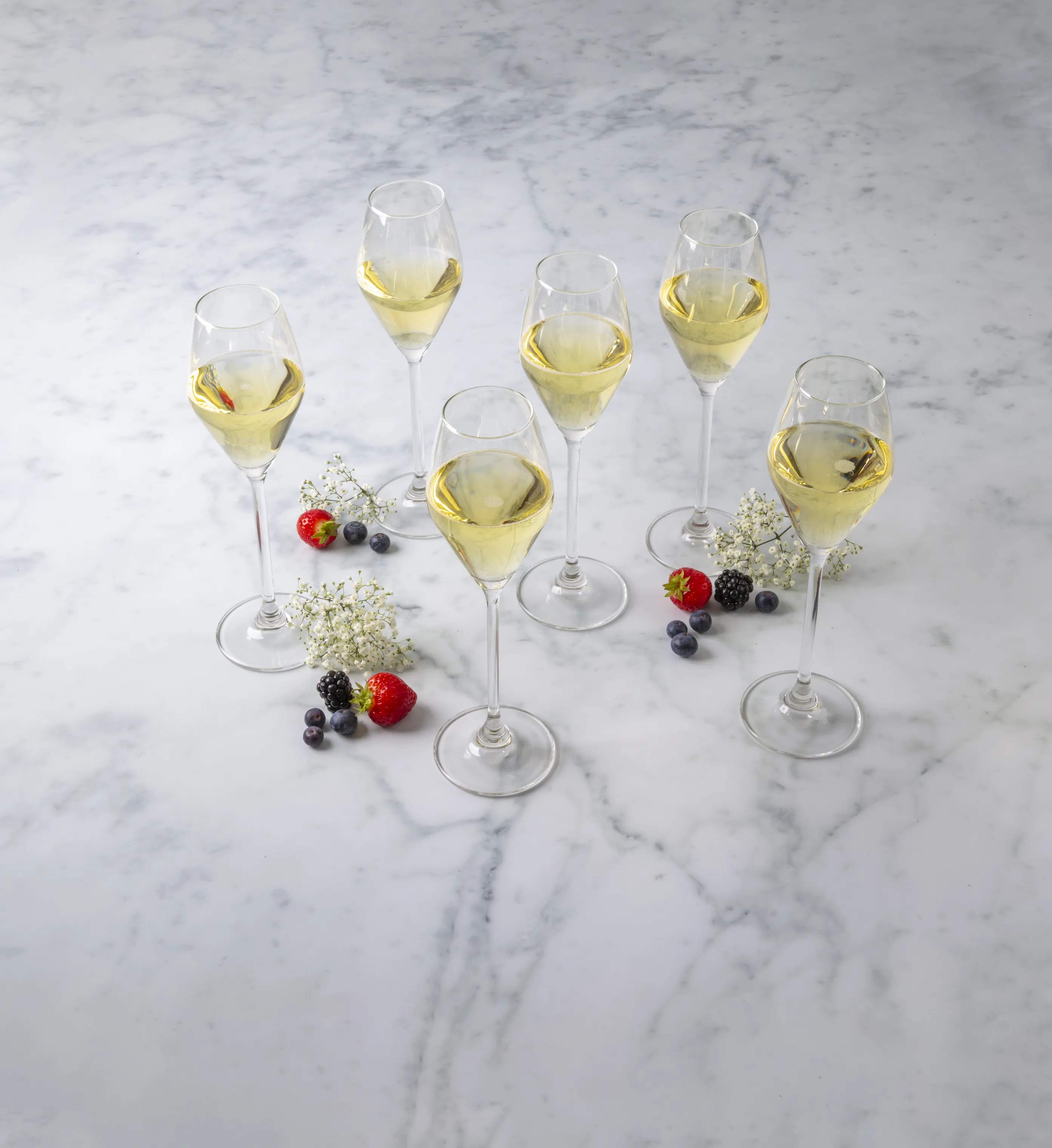 CASA Living Champagneglas Toscana Champagneglas - 6 stk. i Klar, 2