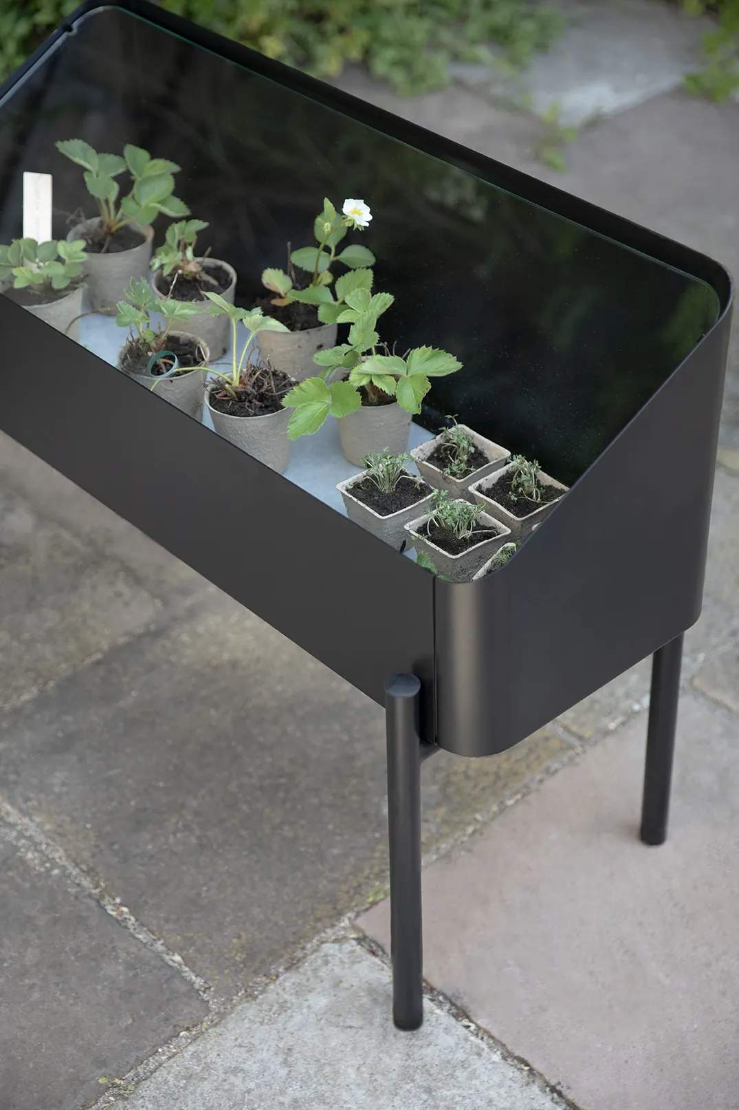 Eva Solo Altankasser Simply Grow Spire Plantekasse i 63 cm, 10