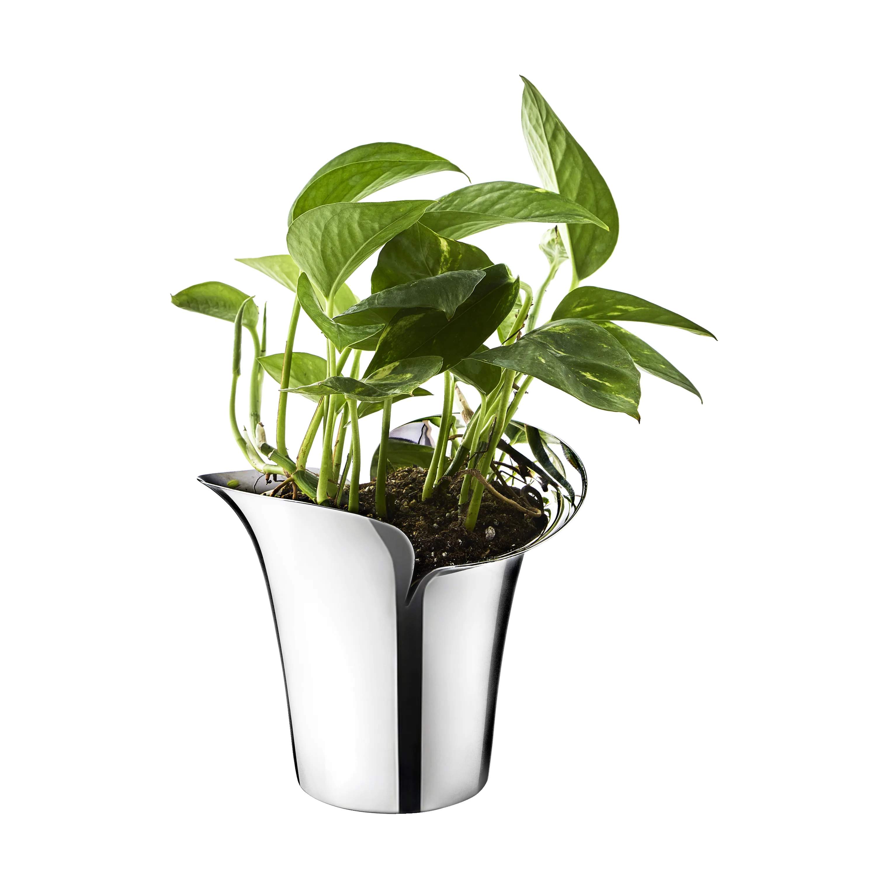 Georg Jensen Urtepotteskjulere Bloom Botanica Urtepotteskjuler i Stål, B16 x L8 cm, 6