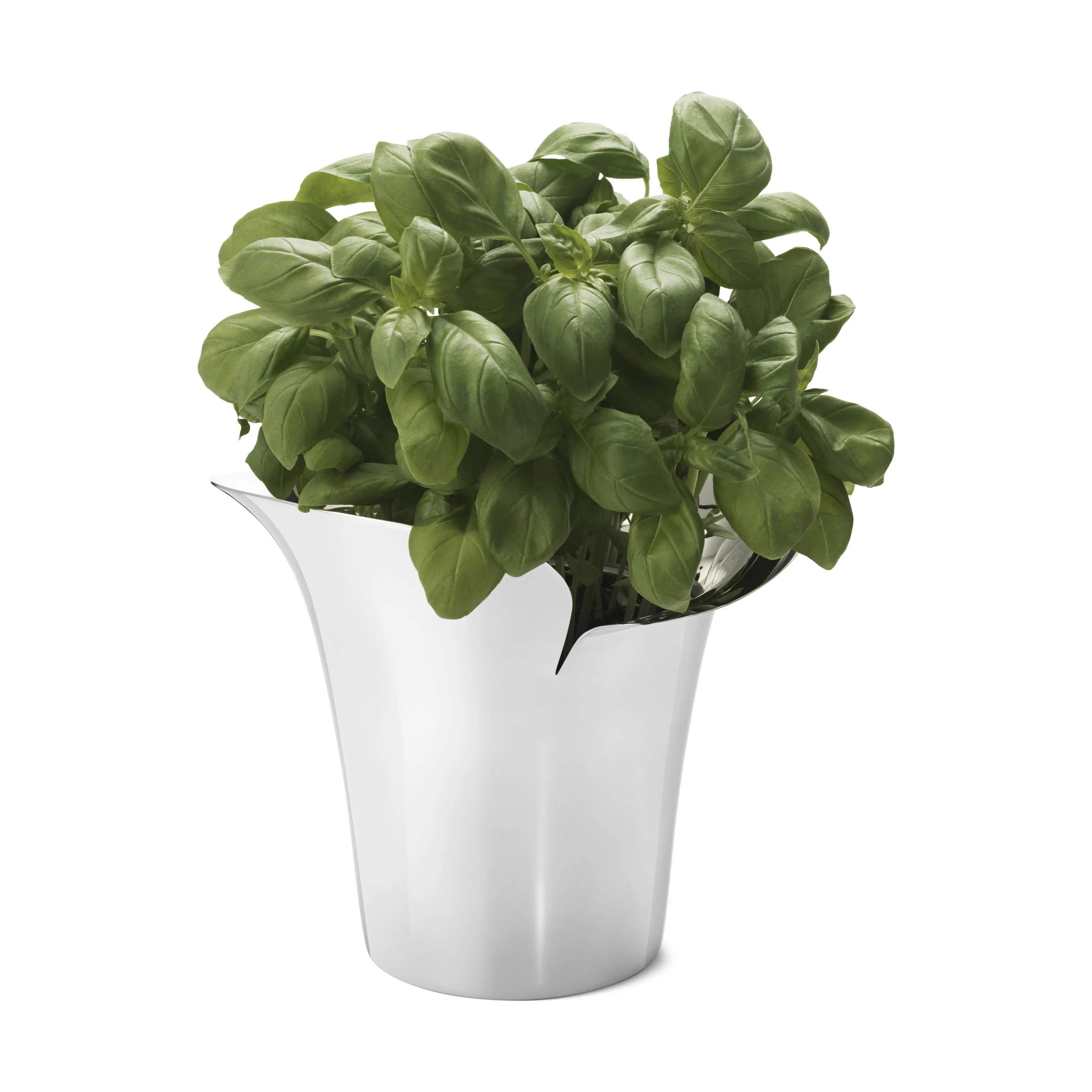 Georg Jensen Urtepotteskjulere Bloom Botanica Urtepotteskjuler i Stål, B16 x L8 cm, 4