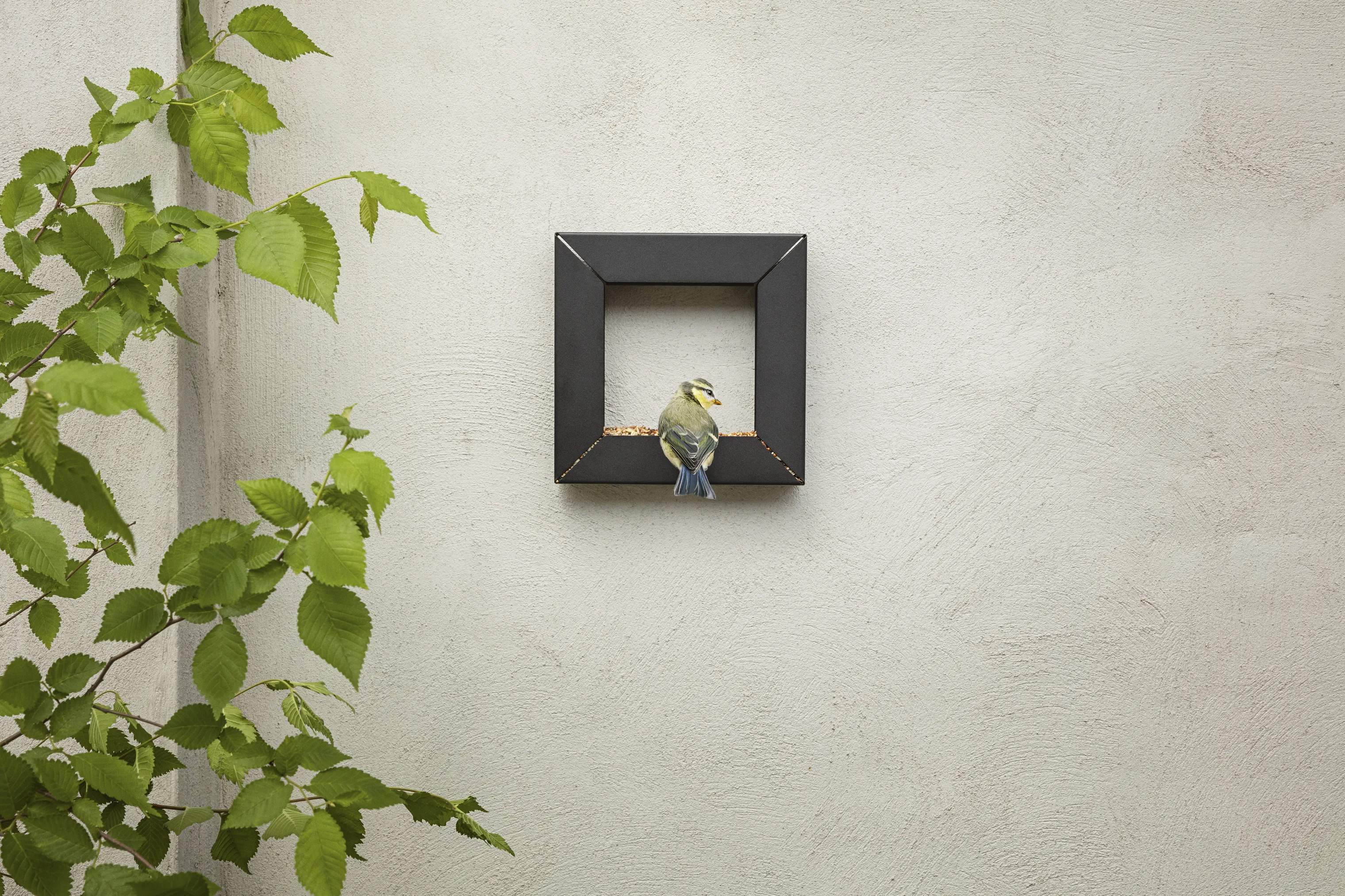 Eva Solo Foderhuse Frame Foderdispenser i Sort, 5