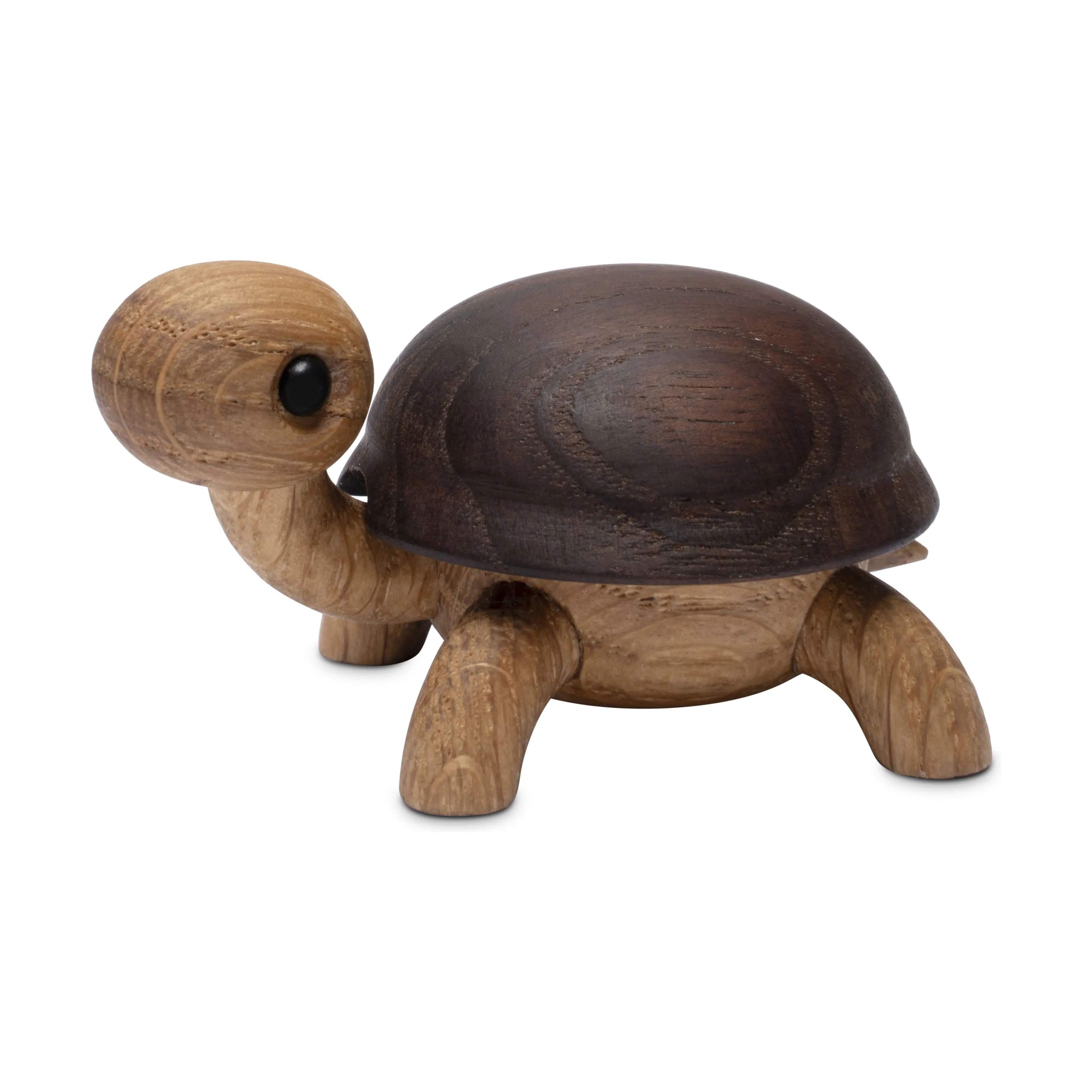 Skildpaddeunge - Sporty, natural, large