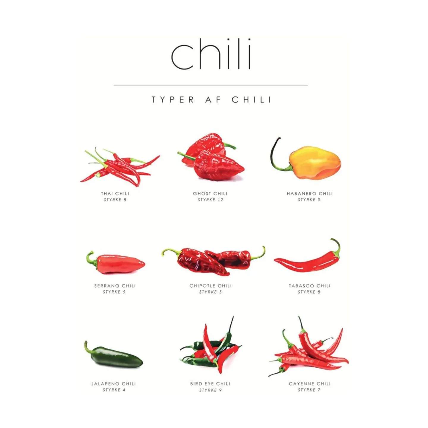 Poster&Frame Plakater Plakat - Chili Guide i B21 x L29,7 cm, 1