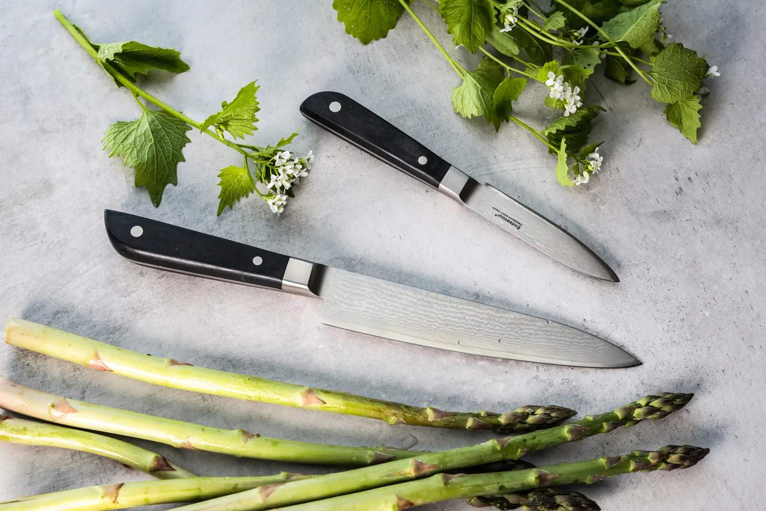 Endeavour Knivsæt Discovery PRO Knivsæt - 2 dele i Sort, 4