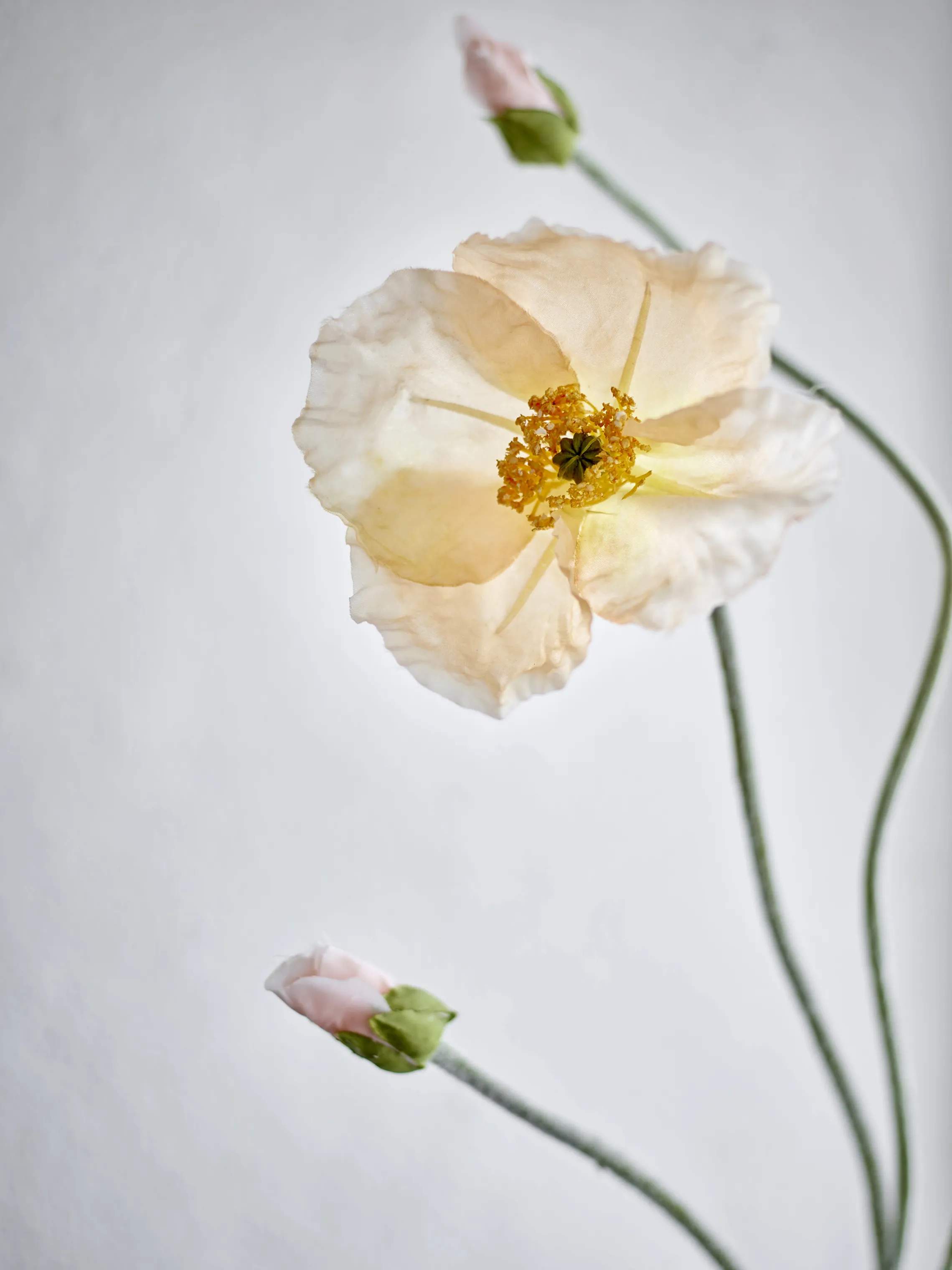 Bloomingville Kunstige blomster Kunstig blomst - Poppy stilk i Natur, 2