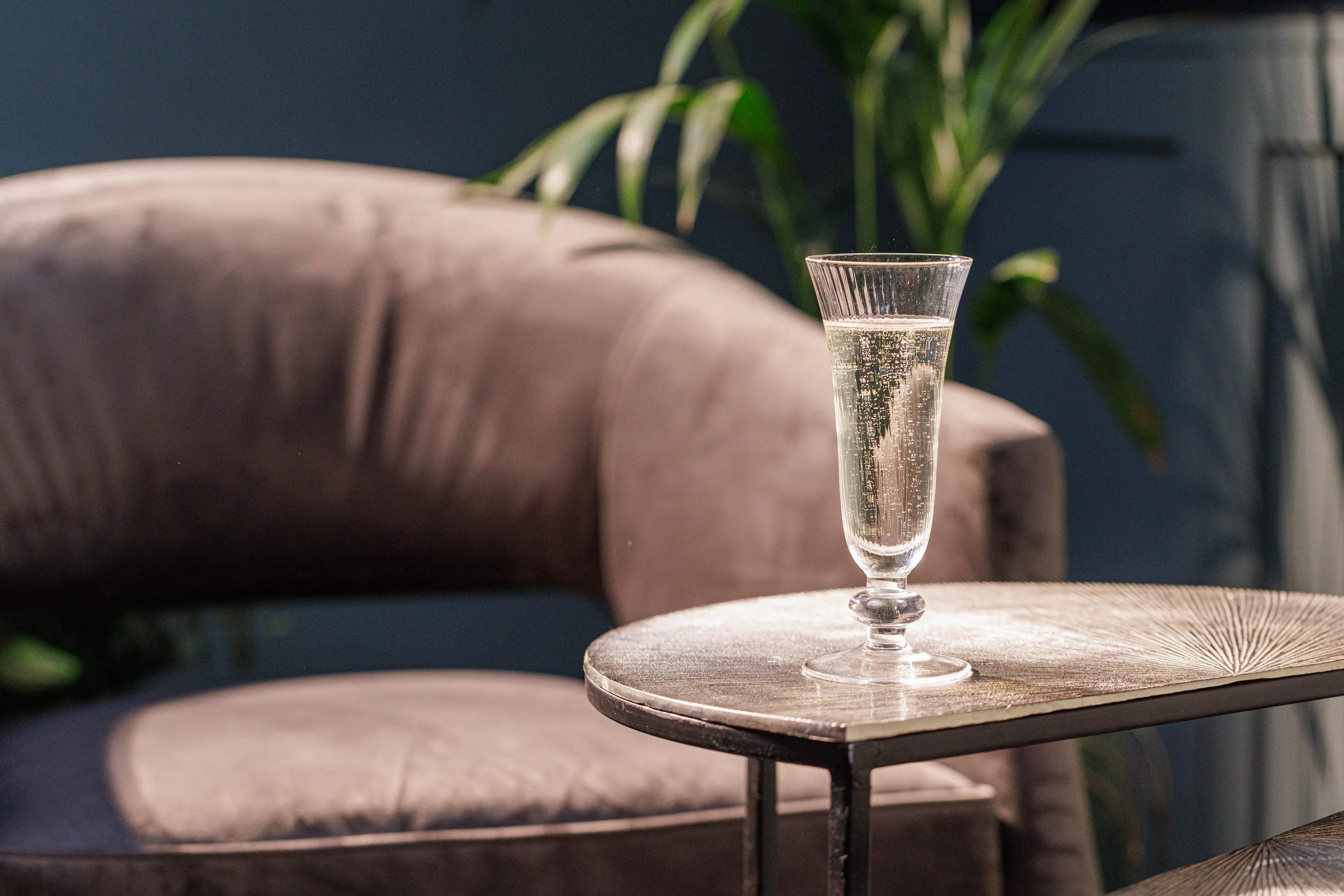 Mikasa Champagneglas Salerno Champagneglas - 4 stk. i Klar, 3