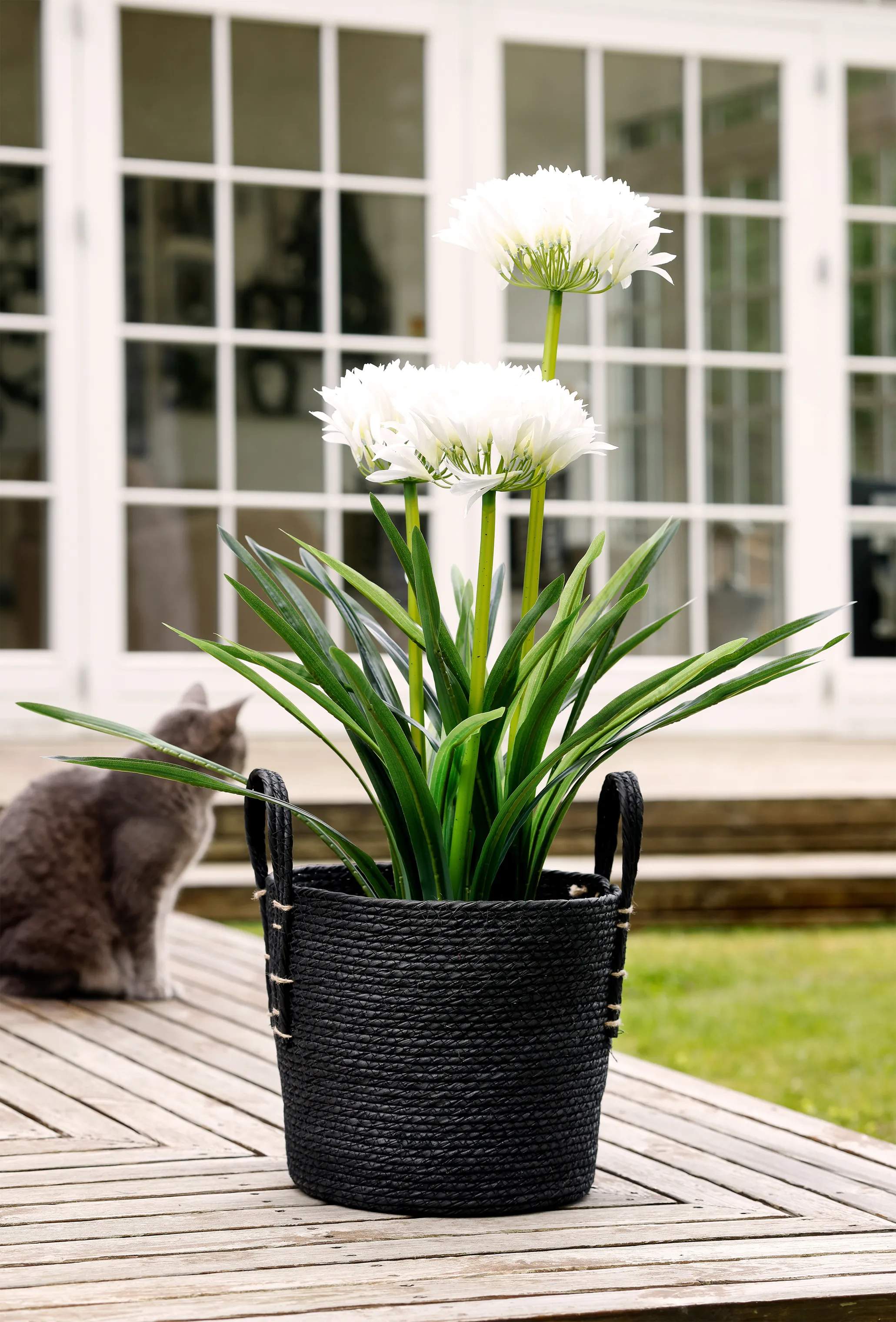 CASA Living Kunstige planter Kunstig Agapanthus i Hvid/grøn/natur, 3