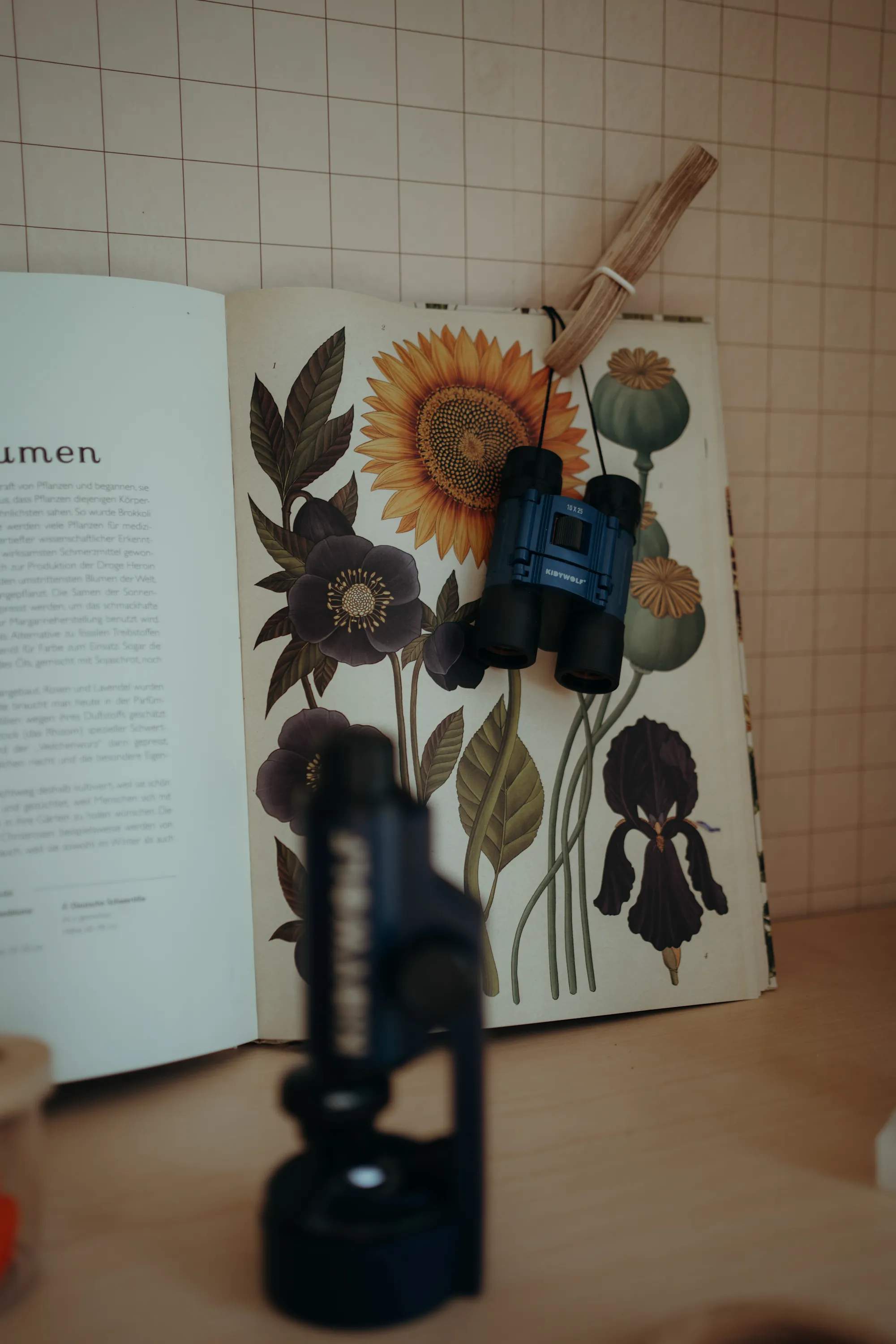 Kidywolf Til børneværelset Børnekikkert i Blå, 6