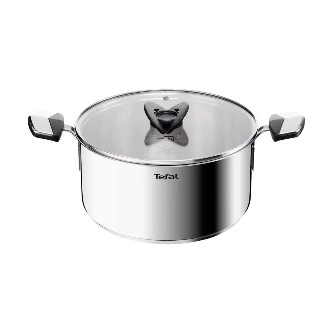 Tefal Gryder Emotion Plus SS Uncoated Gryde i 4.5 L, 1
