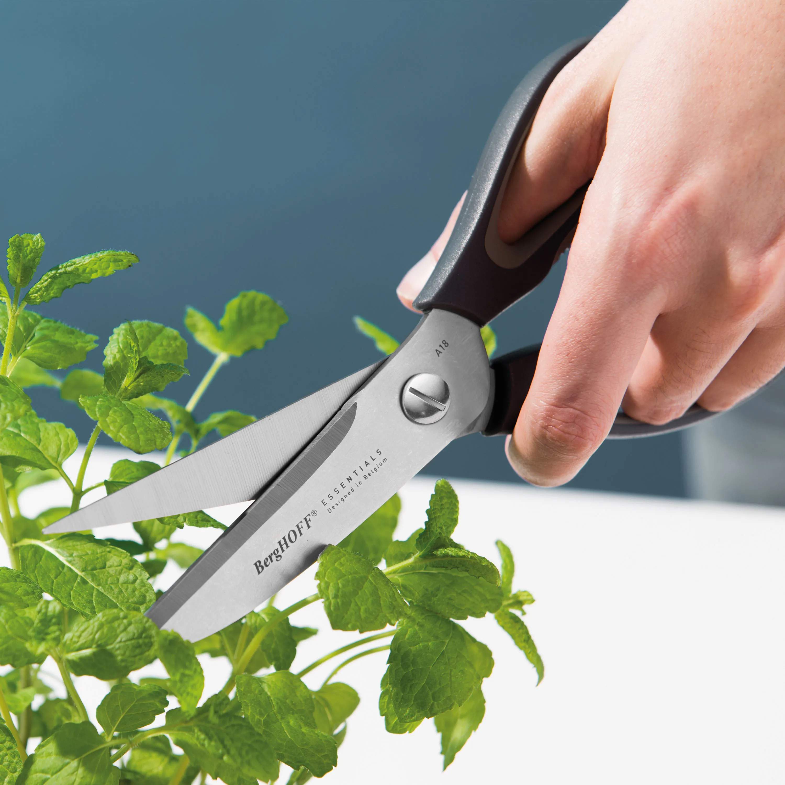 BergHOFF Køkkensakse Essentials Køkkensaks i Blå, 2