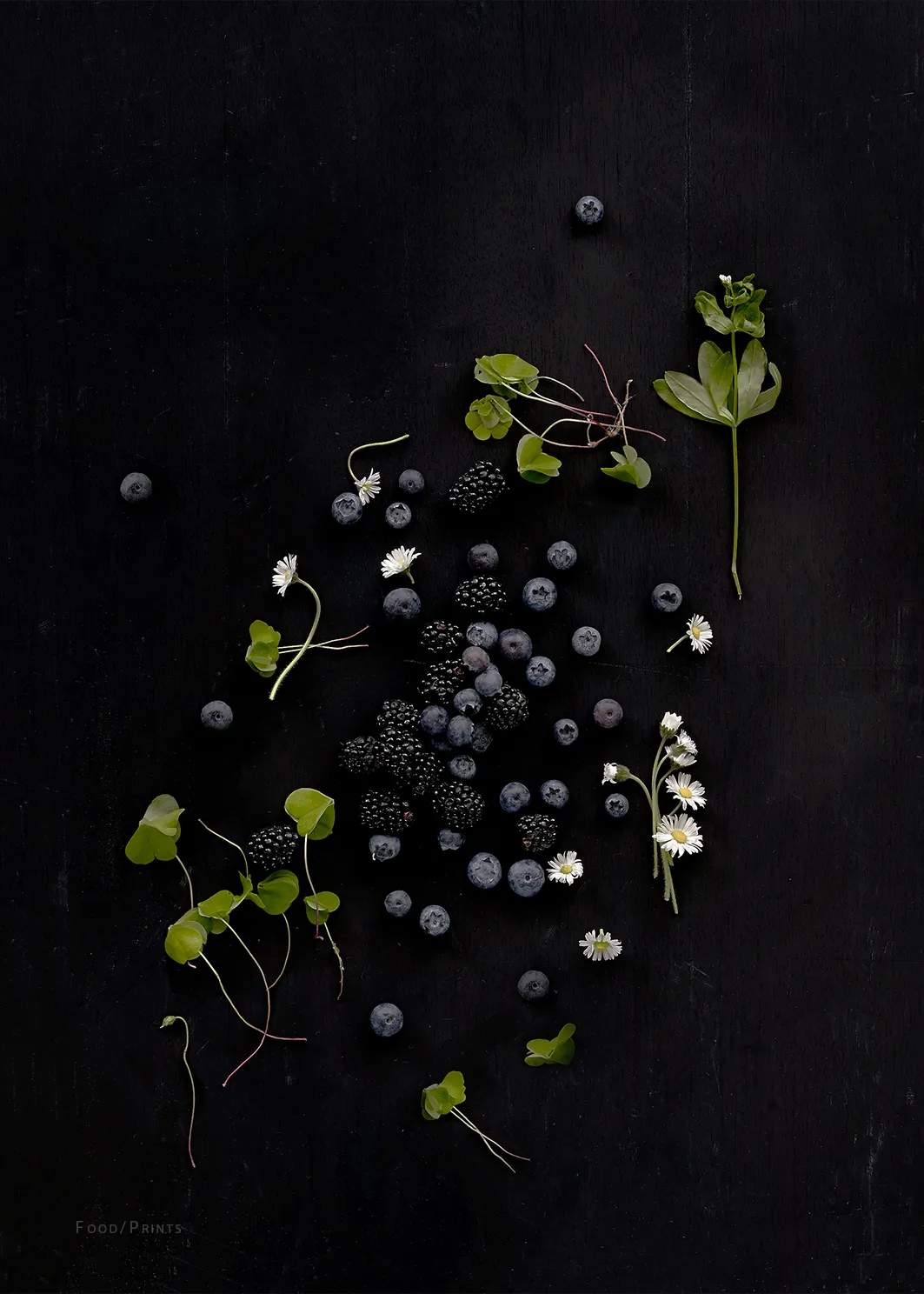 Plakat - Sorte Bær, sort, large