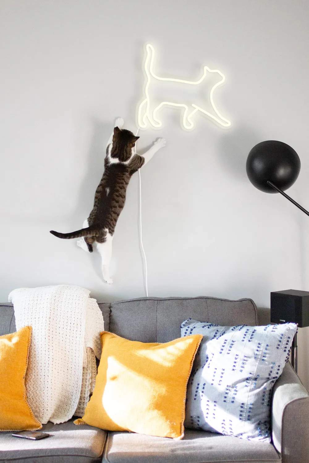 Candy Shock Væglamper Neon LED Lampe - Kat i Kat, 2