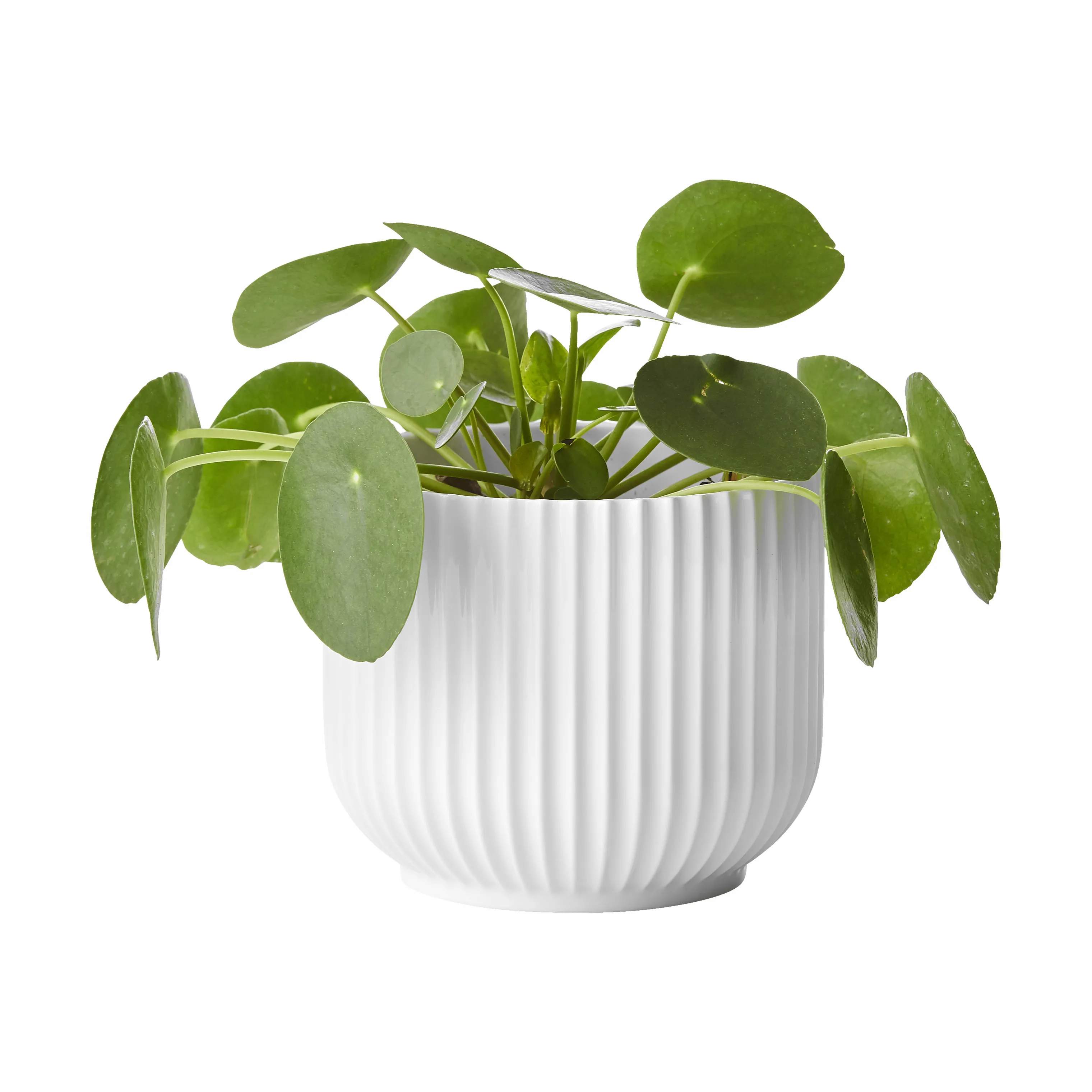 Lyngby Porcelæn Urtepotteskjulere Flowerpot Urtepotteskjuler i Hvid, 13 cm, 4